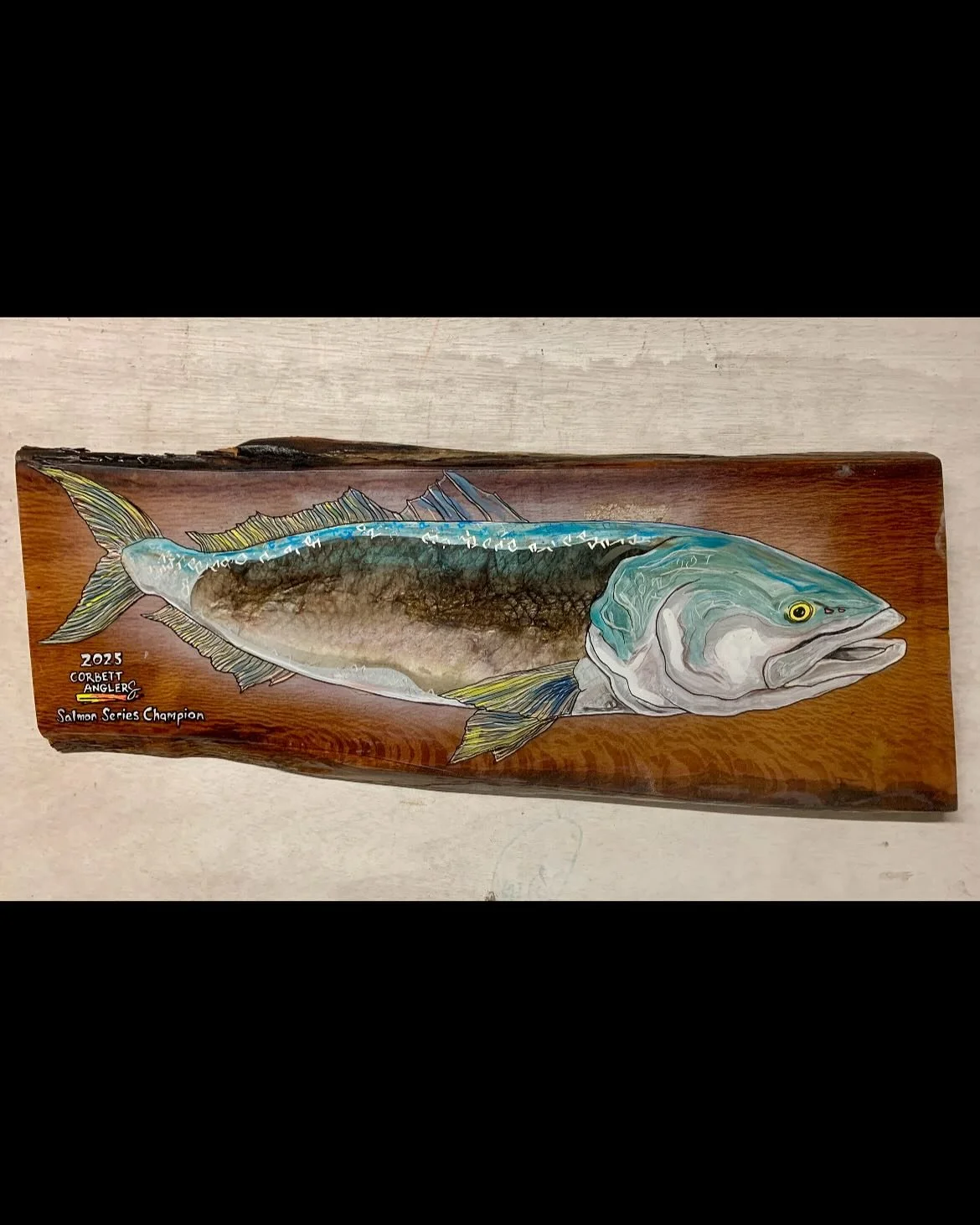 Check out this AMAZING salmon skin trophy! This is the winners trophy made with real salmon skin. I&rsquo;ll post up a little video on Sunday of it in real life and talk a bit about the legend behind it. THIS THING IS AMAZING. This incredible artist 