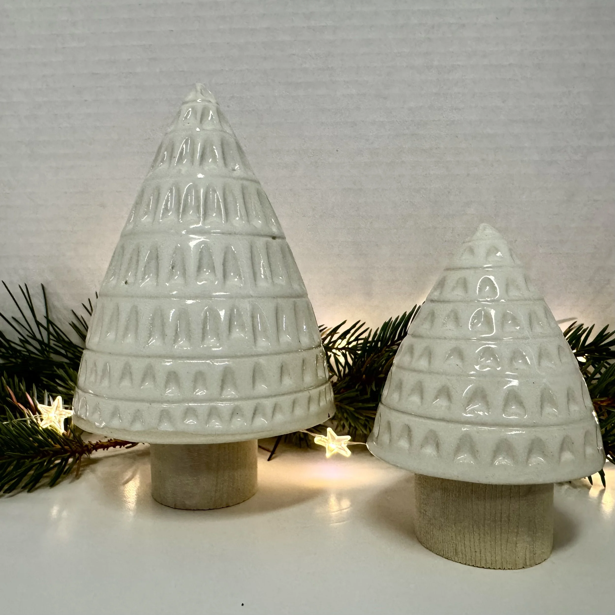 IMG_3434.jpeg (Copy)