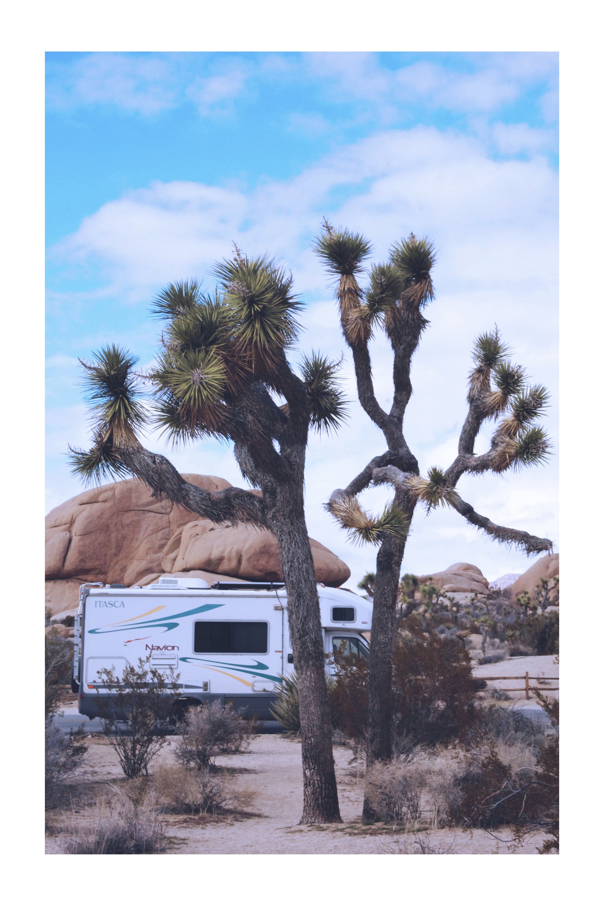 Whitagram-Image.jpg