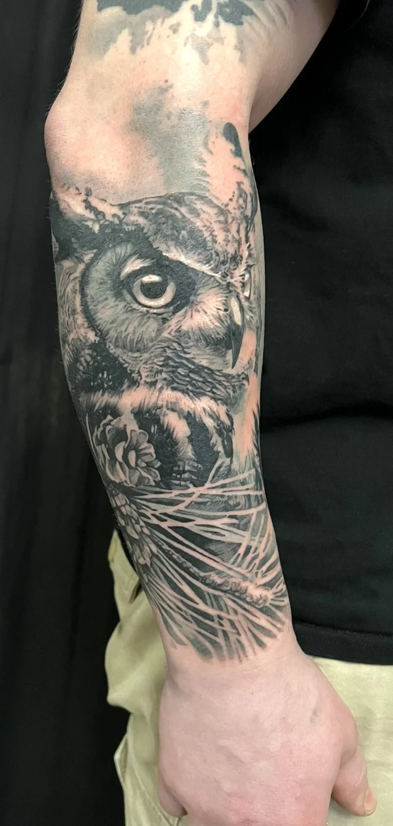 Owl