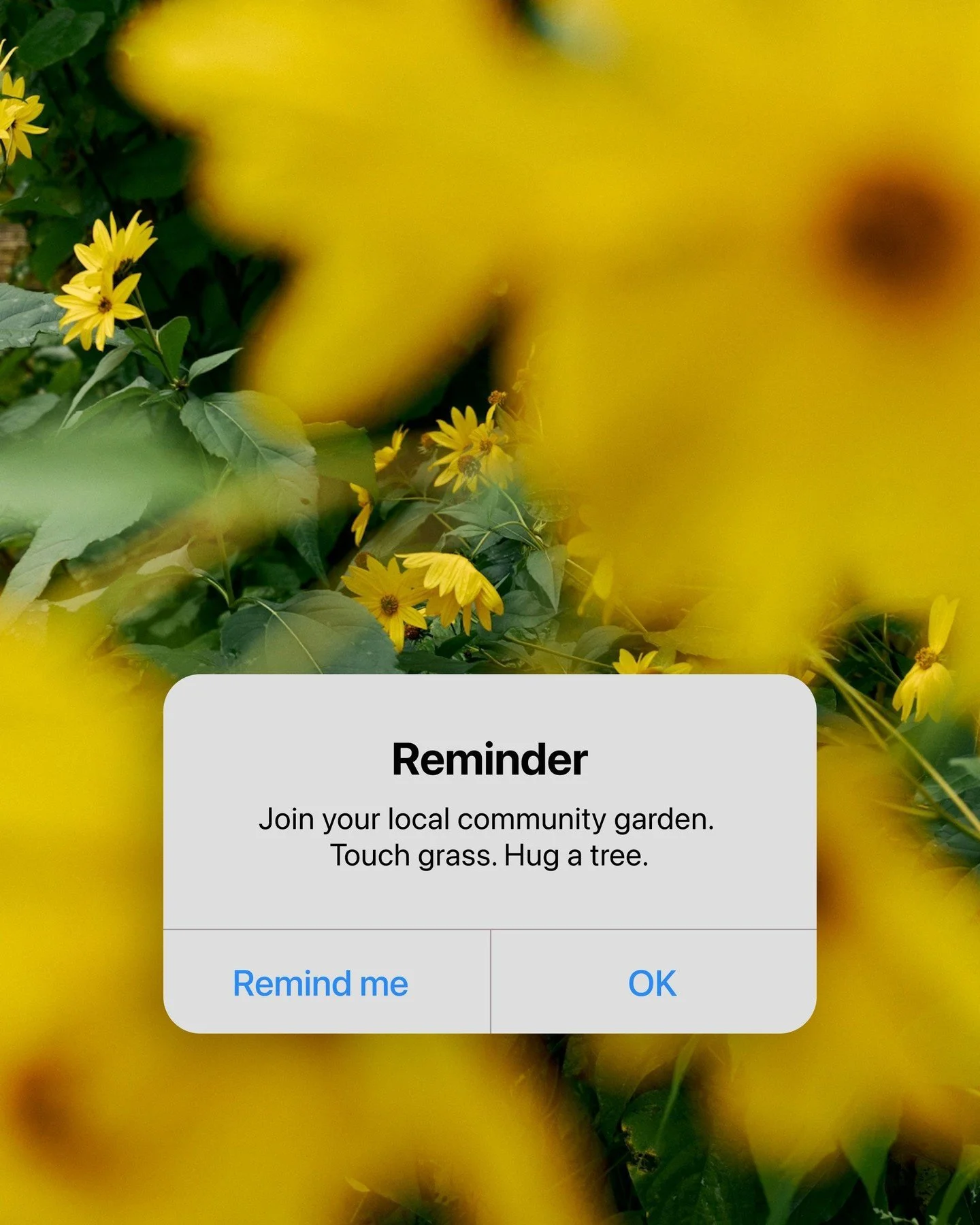 Apple said it not us