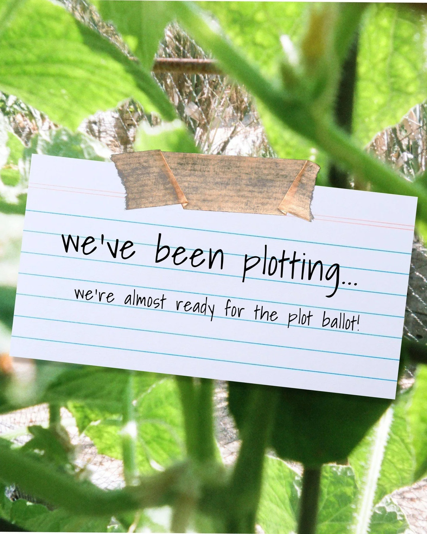 You heard it here first! Our plot ballot is almost open 👀 

Please leave any q's in the comments 🌱