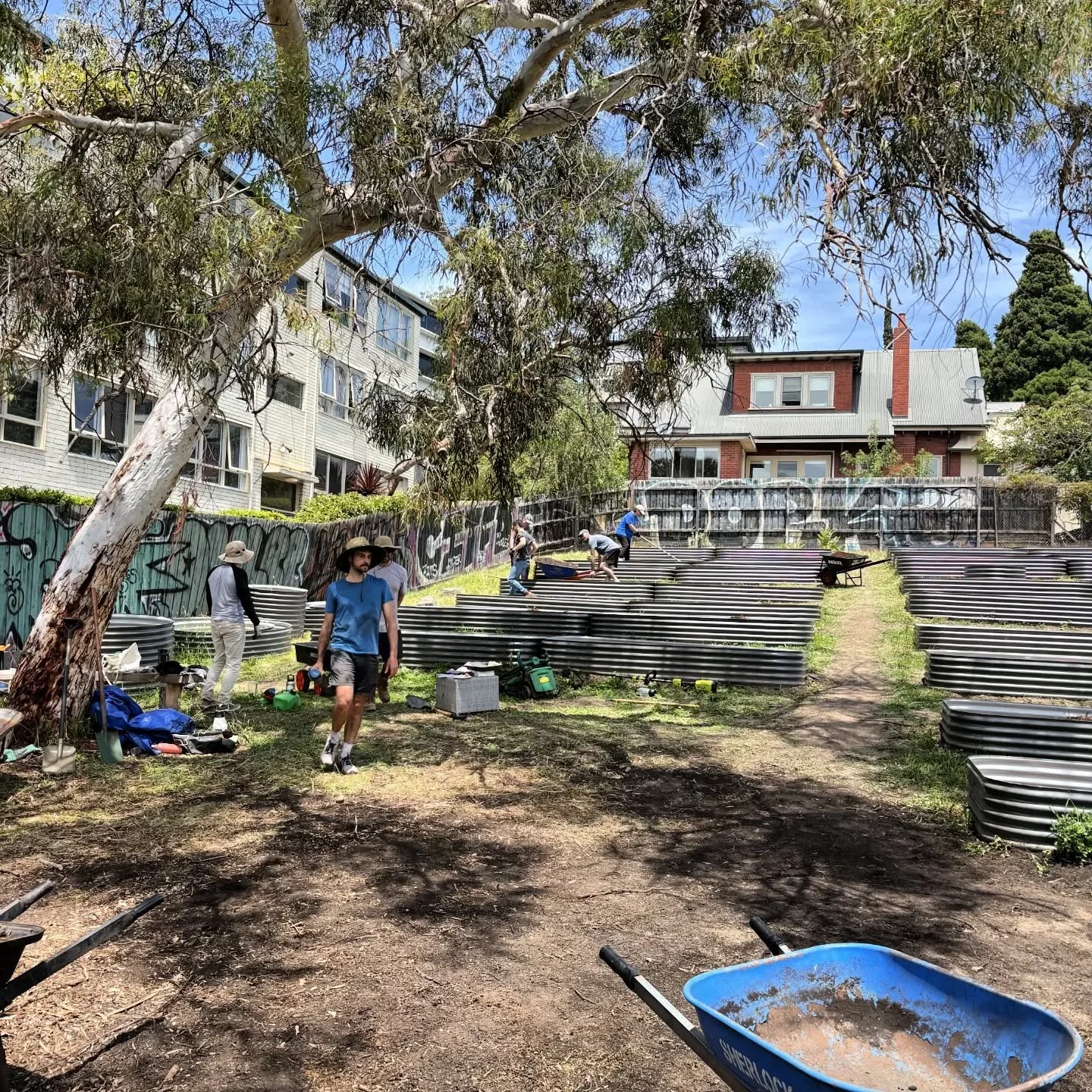 did you miss us? because we missed you 

WE'RE BACK! first working bee of the year. sat 31st jan. 
9AM START because it's bloody toasty. wear sunscreen ☀️☀️☀️