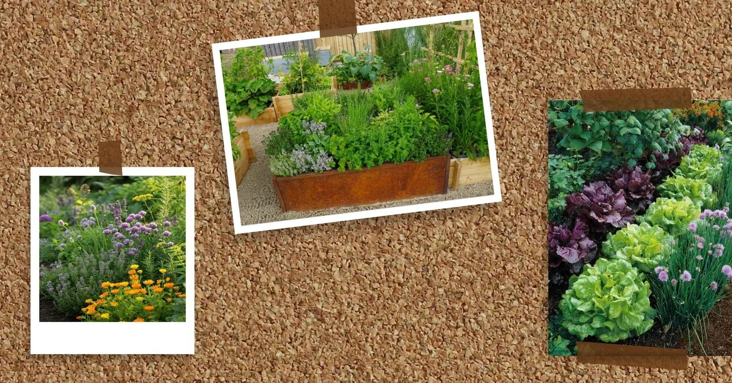 what do you cook with? what's super spenny at the supermarket? what would be handy to have around the corner? 

vote for your fave herbs/perennials/edible flowers for our communal beds here https://forms.gle/jtCfeZZ3R4cR5pgY7 💚 💚 💚