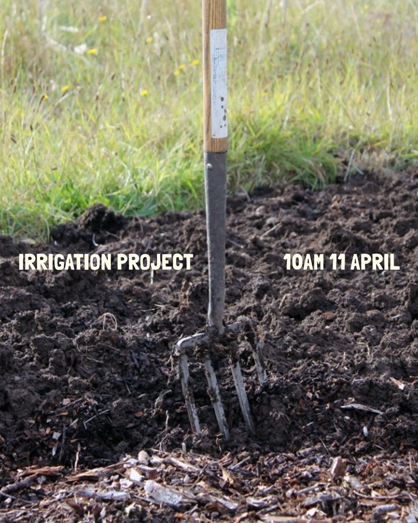 🐝 10am 11 april 🐝 like our regular working bees but with more digging. 

we're going back to our roots. we've spent too many months pottering around the garden and baking cookies... it's time to do some actual excavating! the plan: trenching accord