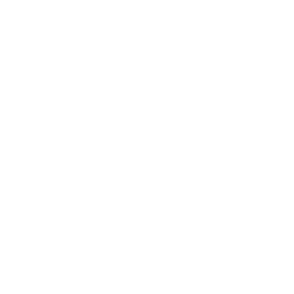 Storysurfer
