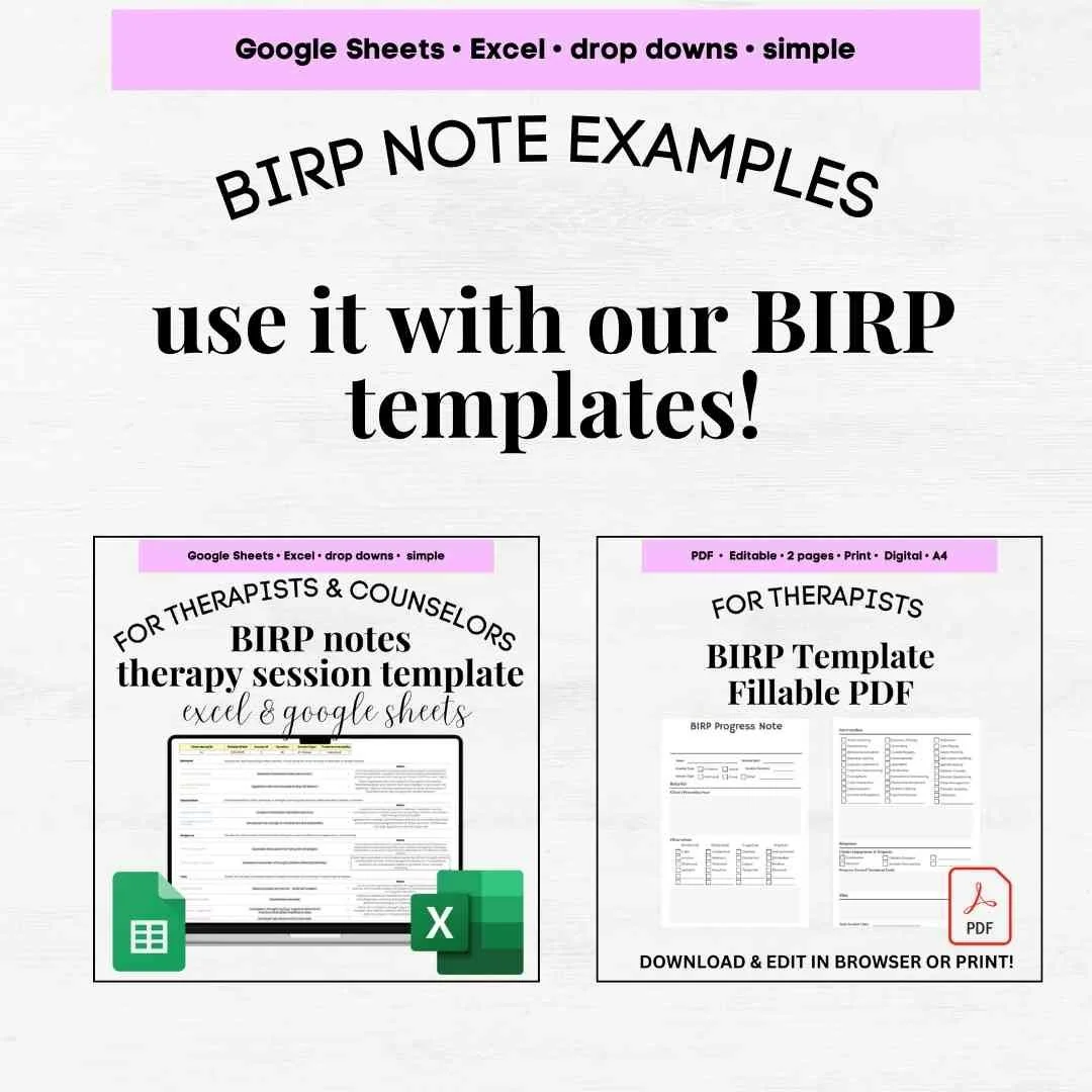 birp note examples birp notes example how to write a birp note birp note therapy birp progress note example