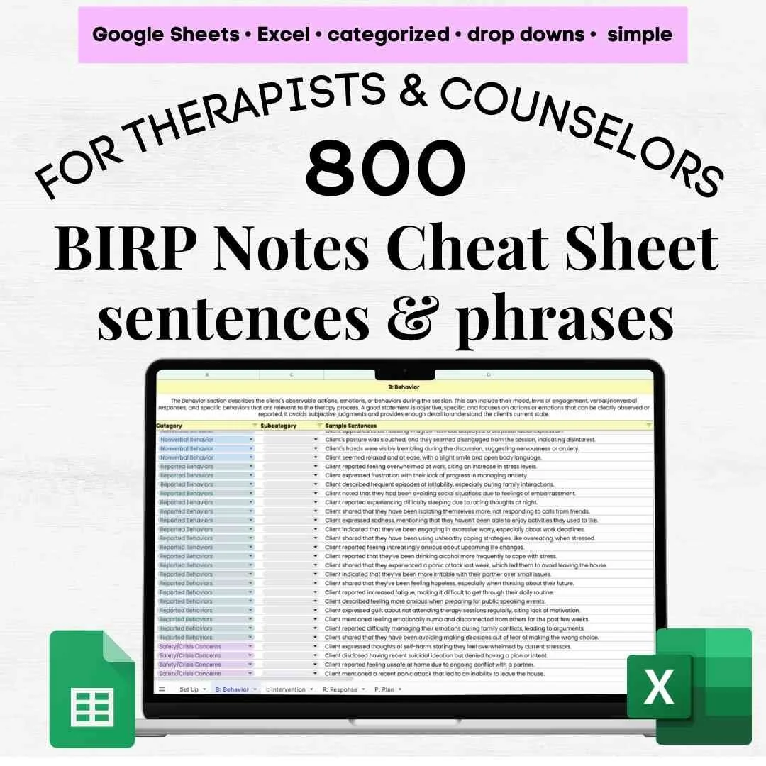 birp note examples birp notes example how to write a birp note birp note therapy birp progress note example