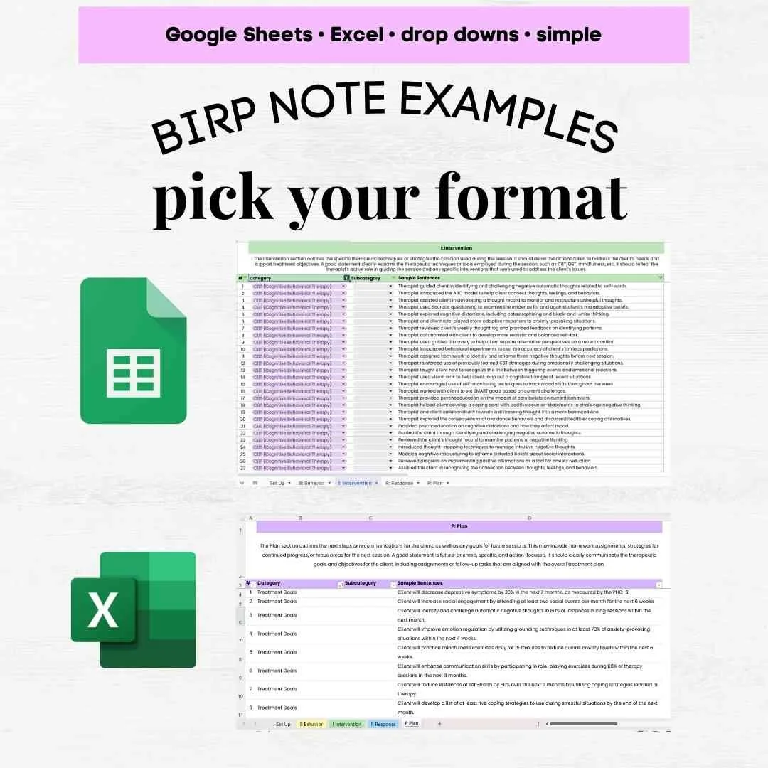 birp note examples birp notes example how to write a birp note birp note therapy birp progress note example