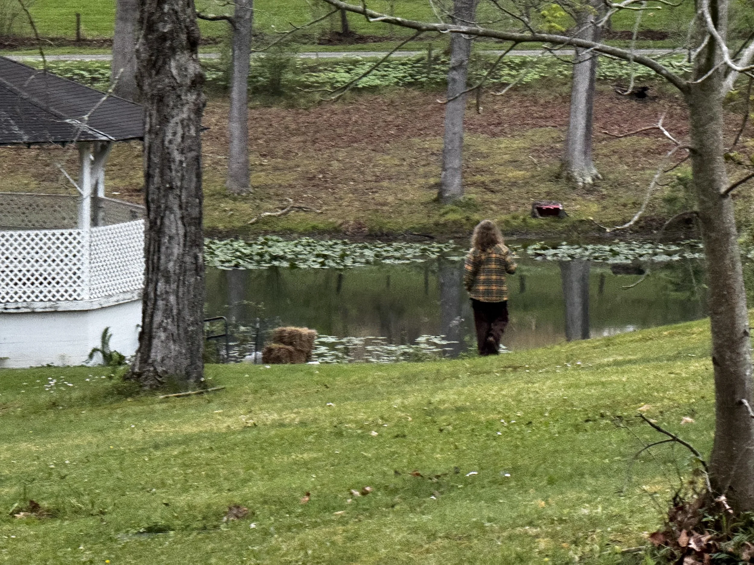 What Rural America Still Knows