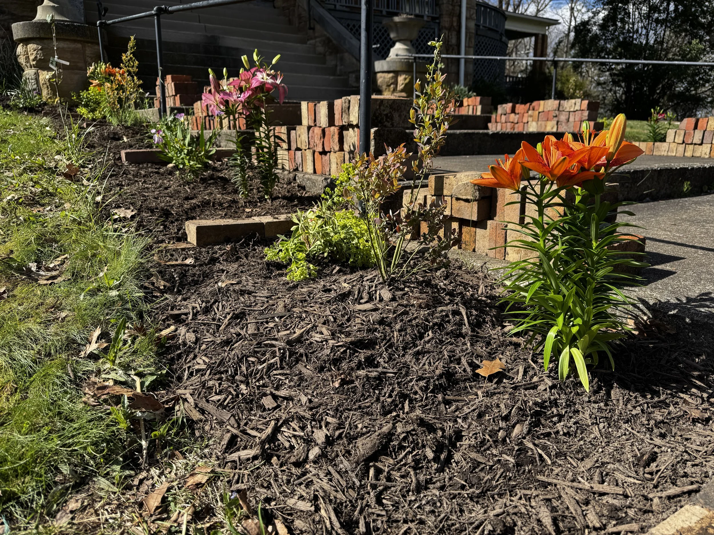 flowers along the front walkway