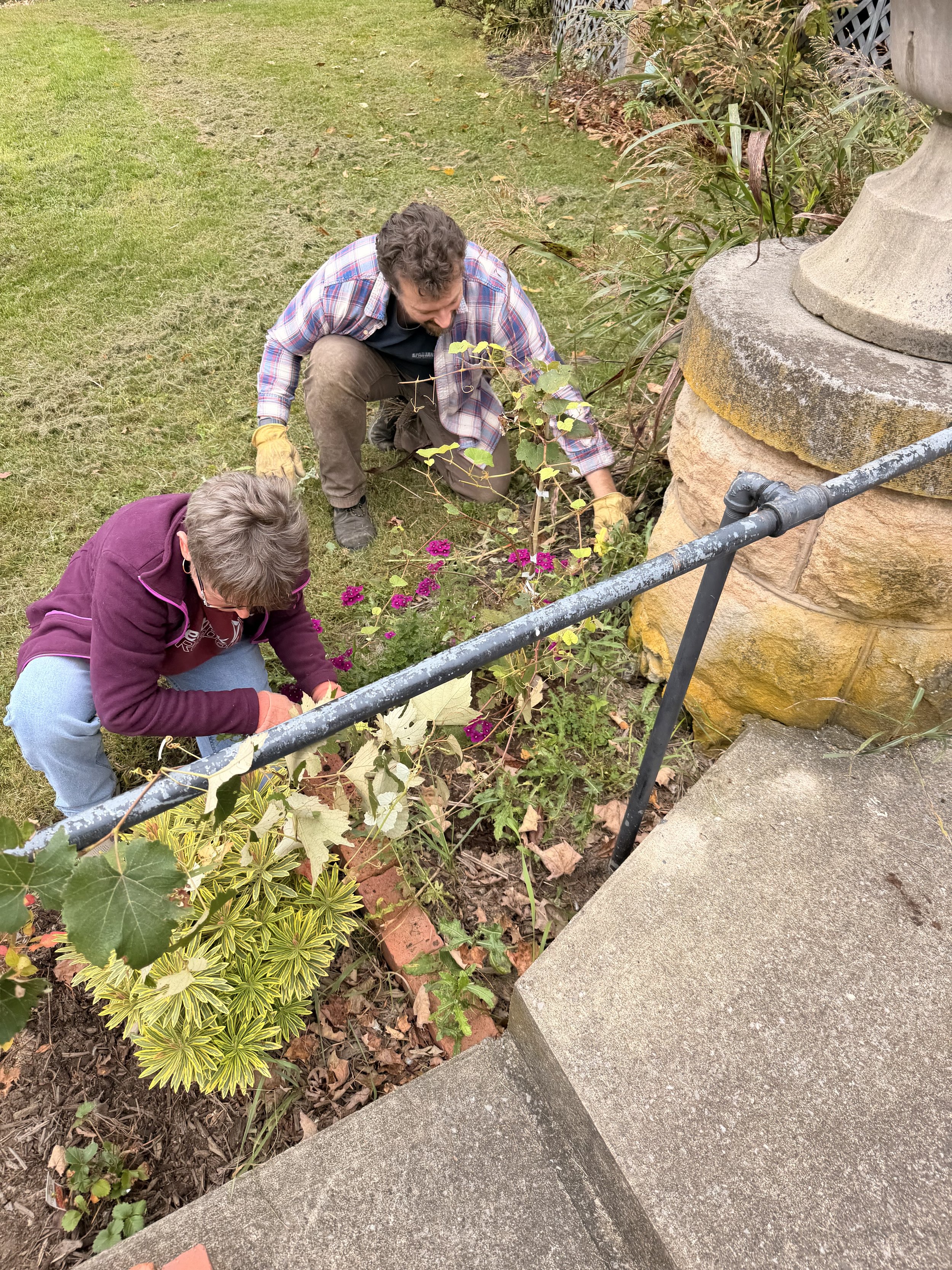 Volunteers weeding the beds