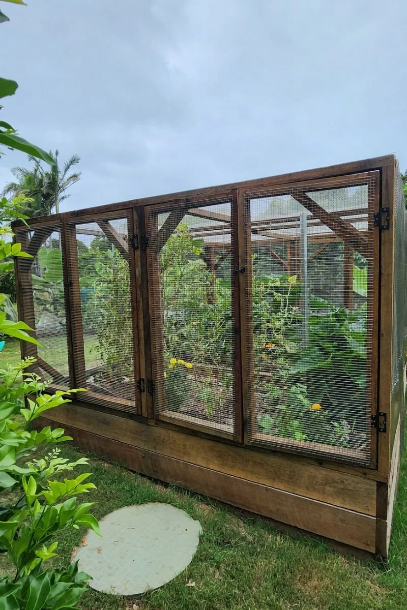 Kingscliff Vegetable Beds & Hardwood Enclosure