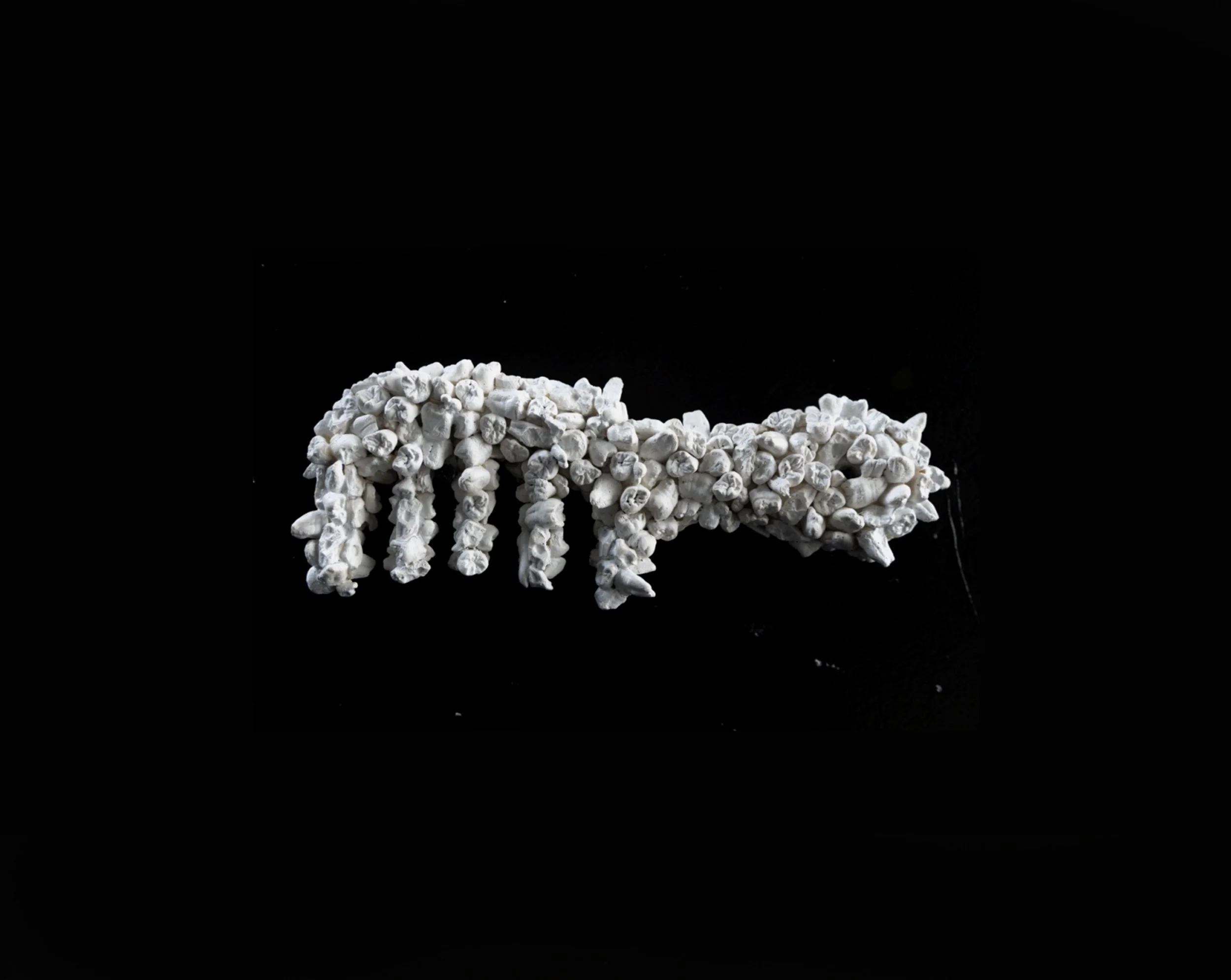 Wide Tooth, Plaster, 2024