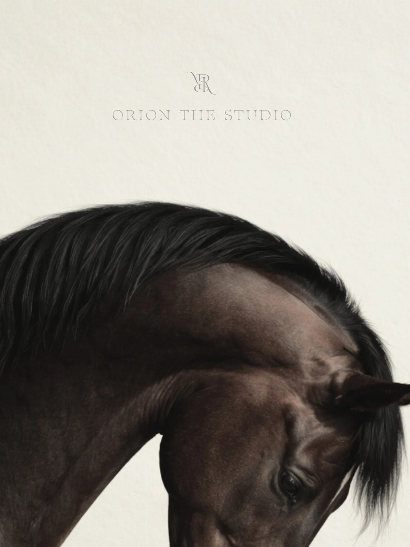 Why do luxury brands often use animals?

Because animals are symbols.
Long before logos existed, animals represented power, status, lineage and territory. They carry historical meaning.

In branding, symbolism creates depth.
A horse, for example, com