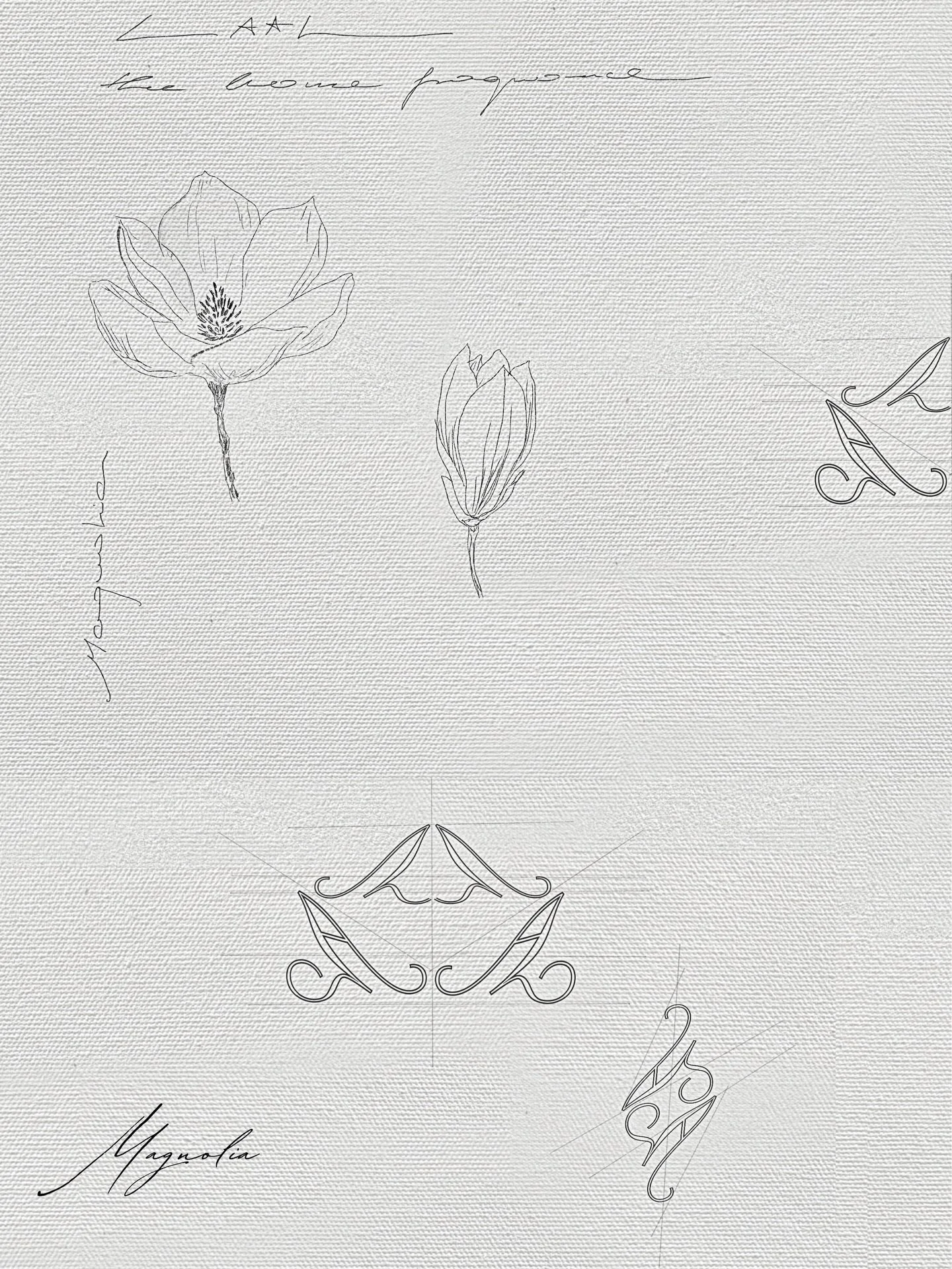 From sketch to scent.

The visual identity for LAAL &ndash; The Home Fragrance
inspired by the quiet elegance of magnolia.

Brand strategy, logo design &amp; visual direction
by Orion The Studio

Now accepting a limited number of branding clients.

&