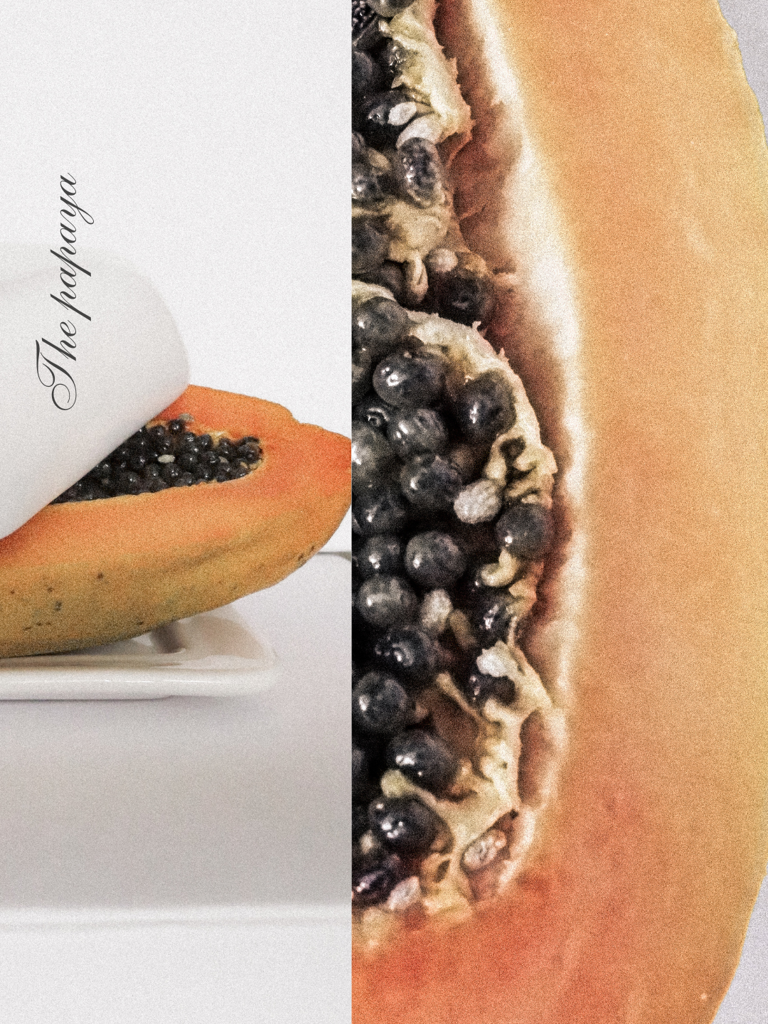 Design Aesthetic papaya 2.png