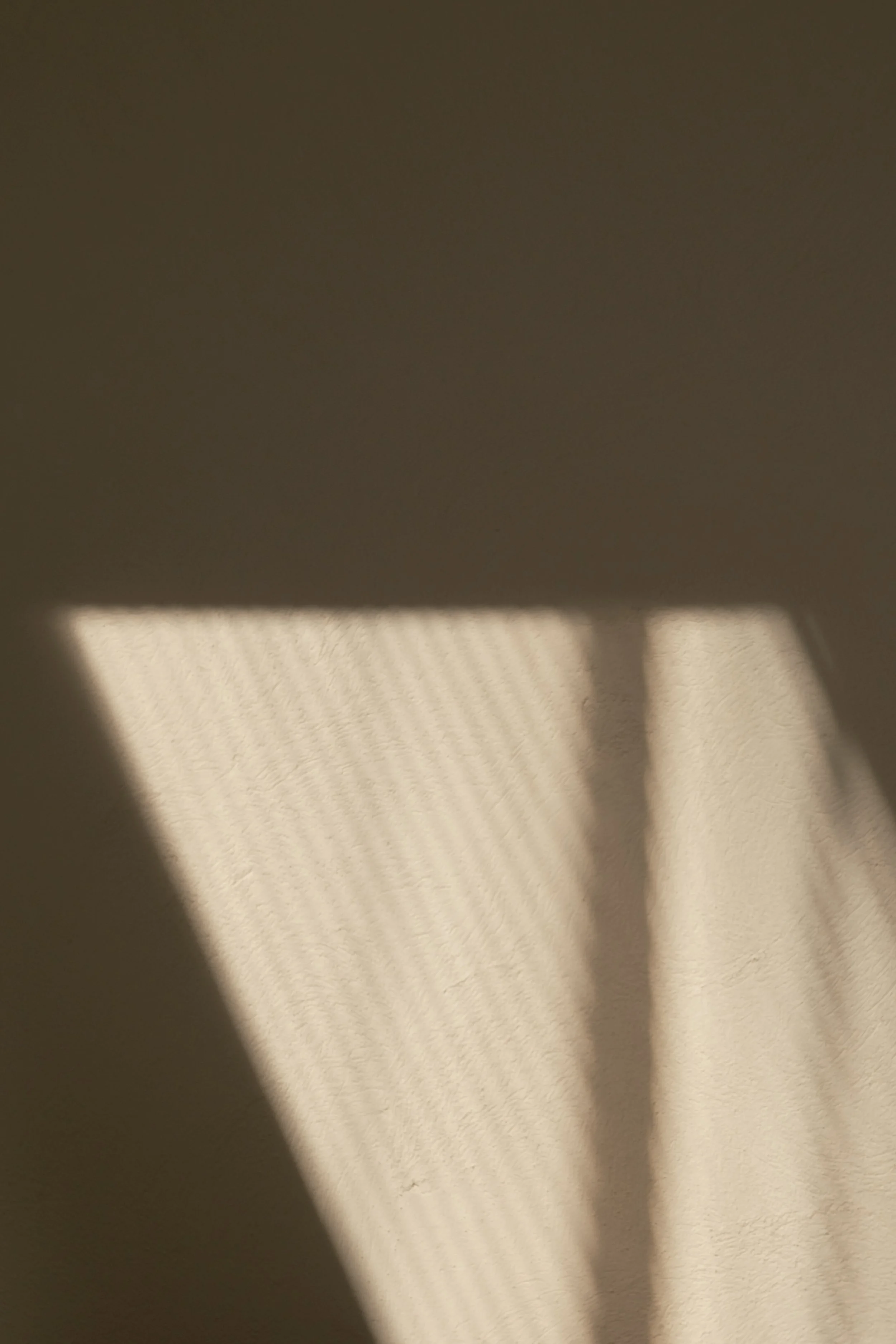 kaboompics_soft-window-light-and-shadow-on-a-warm-neutral-wall-43453.jpg