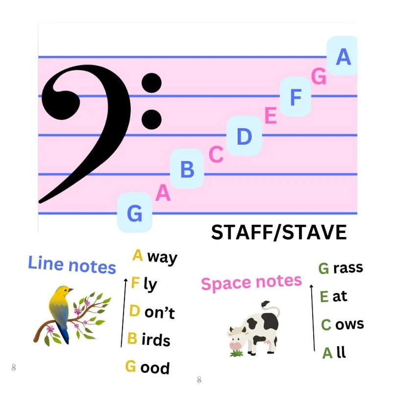 Bass reading resource