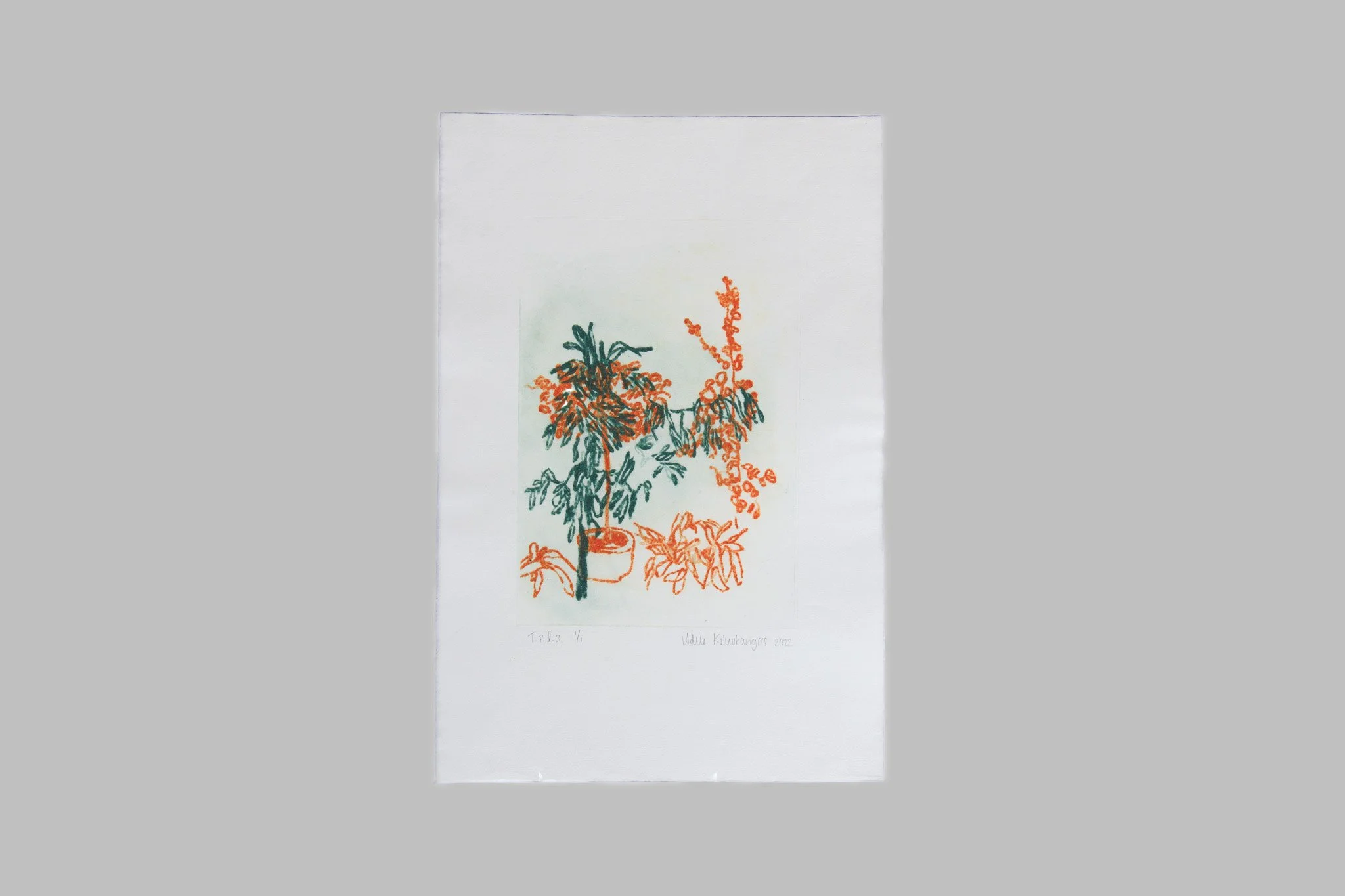 Nimetön – carborundum