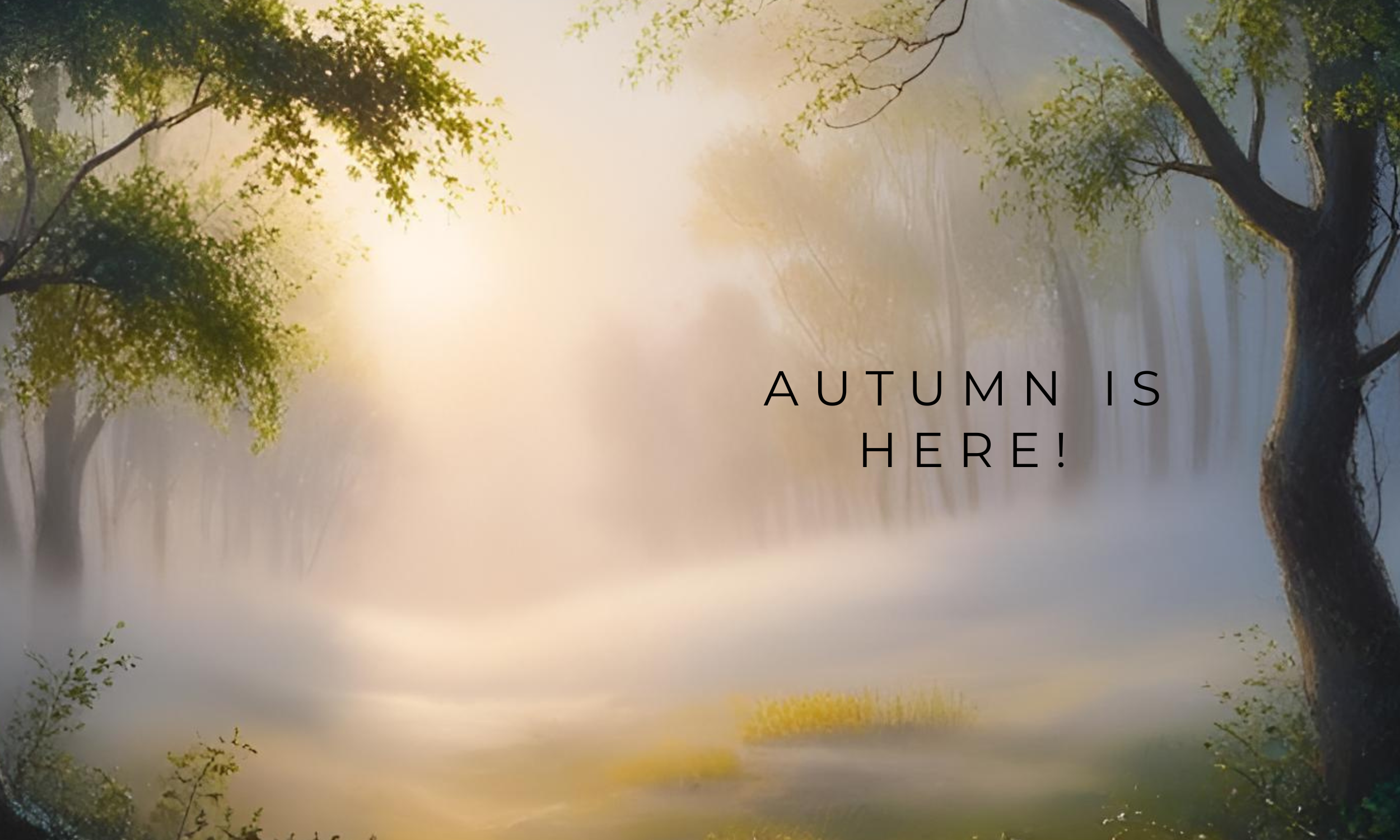 The air has changed. You know what that means.