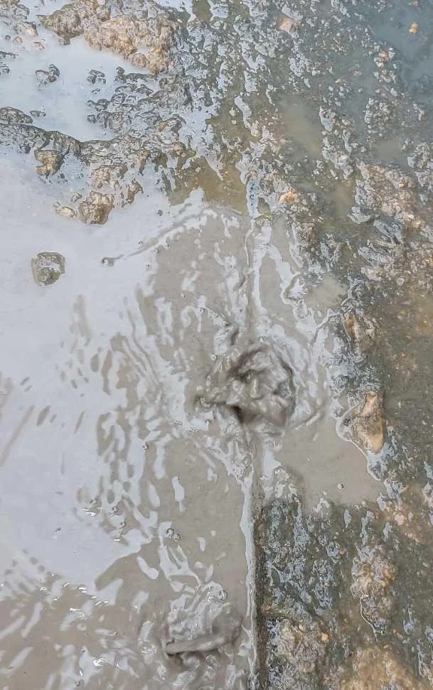 Water bubbling through the slabs