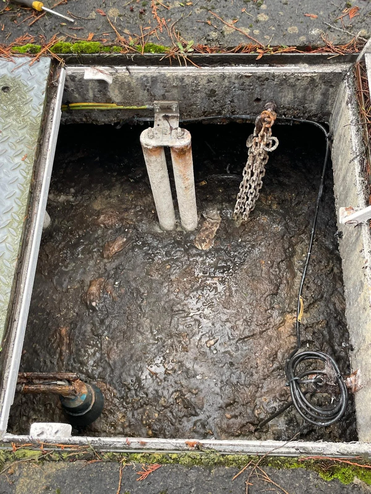 When Your Pump Chamber Is Full Enough to Stand On… 