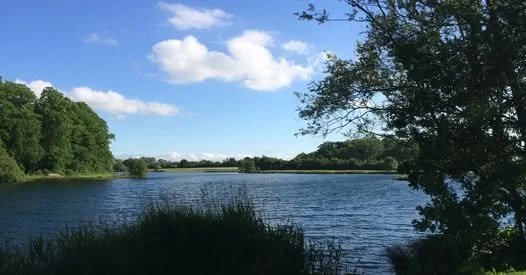 Rough Grounds Farm Camping