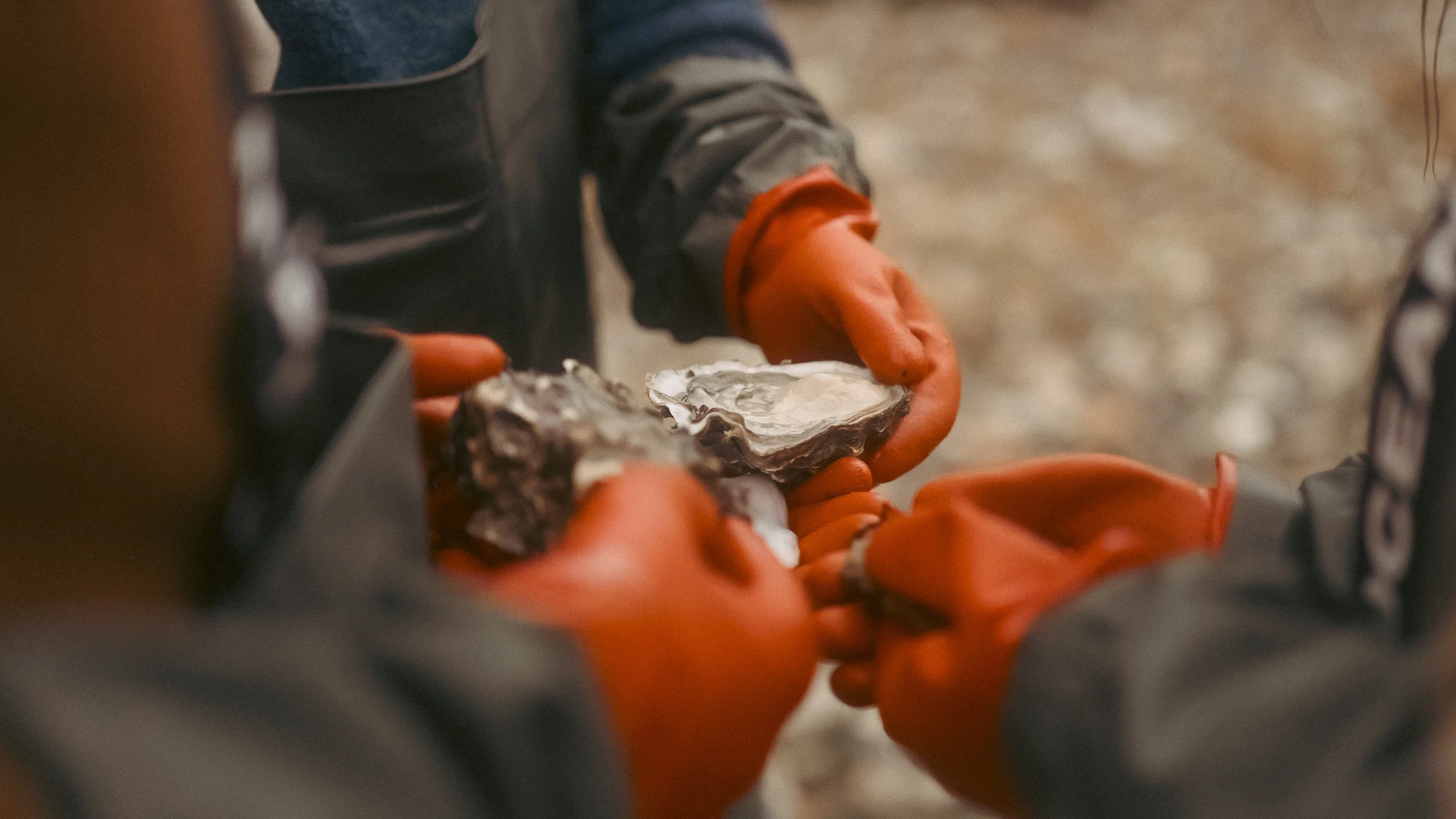 Danske Madoplevelser