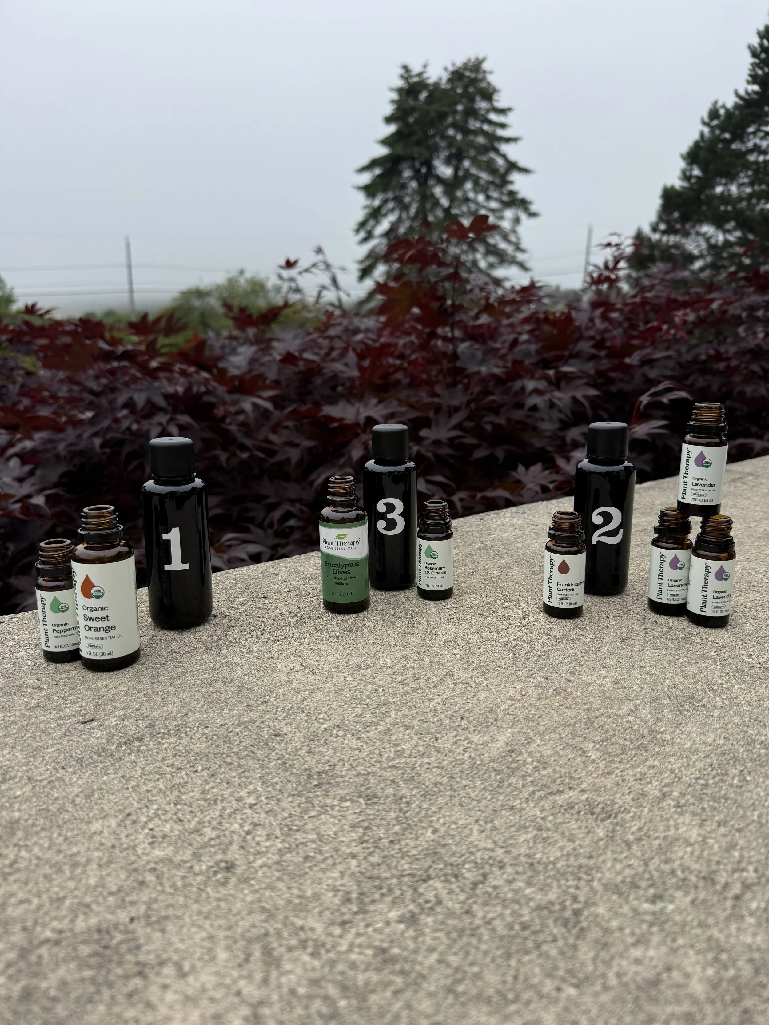 Collection of essential oil bottles arranged on a concrete surface outdoors, with numbered labels 1, 2, and 3, and a background of red leafy plants and trees.