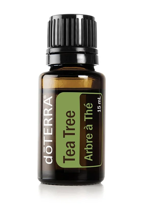 Bottle of dōTERRA Tea Tree essential oil, 15 mL