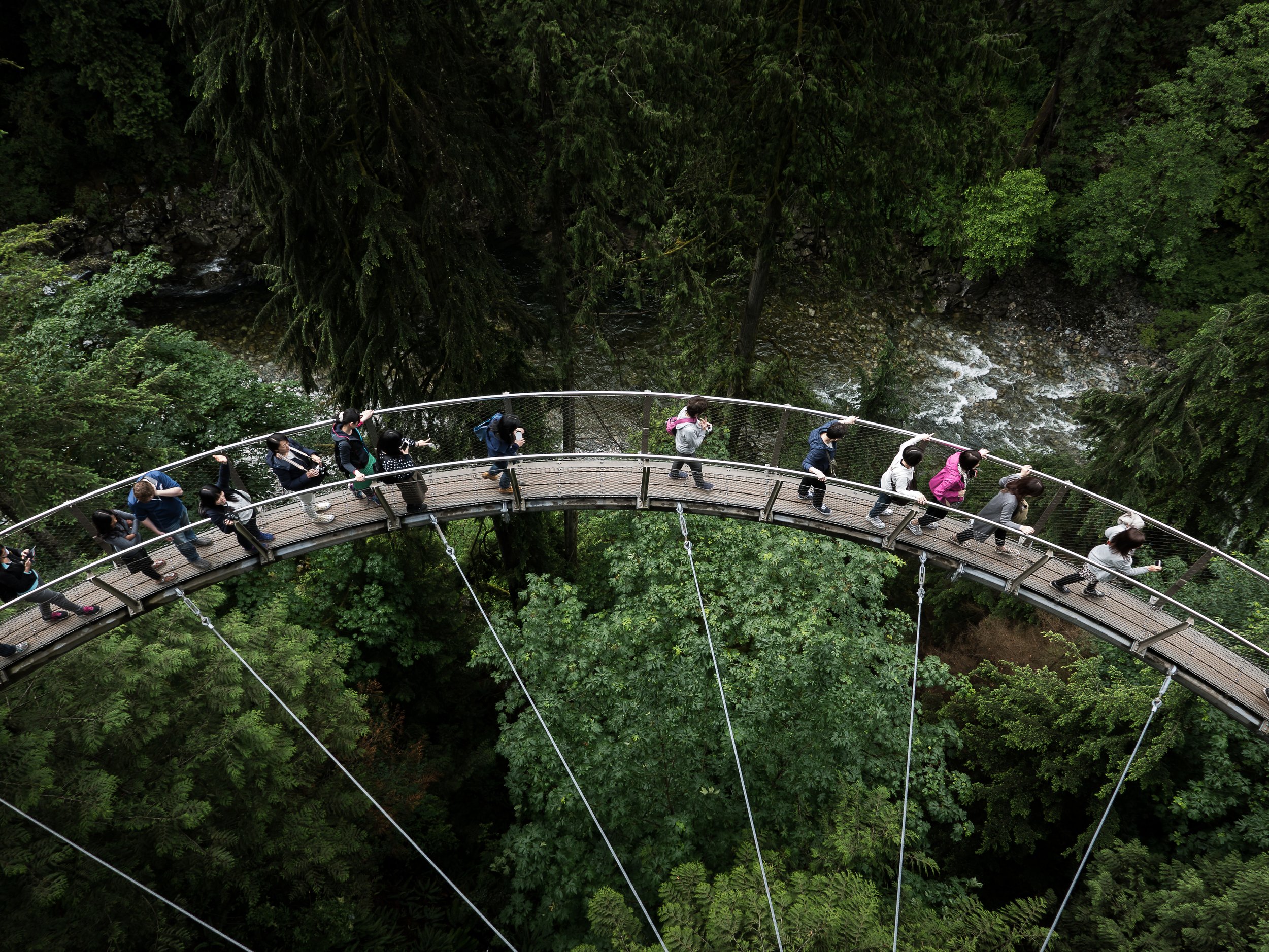 Capilano Skybridge_.jpg