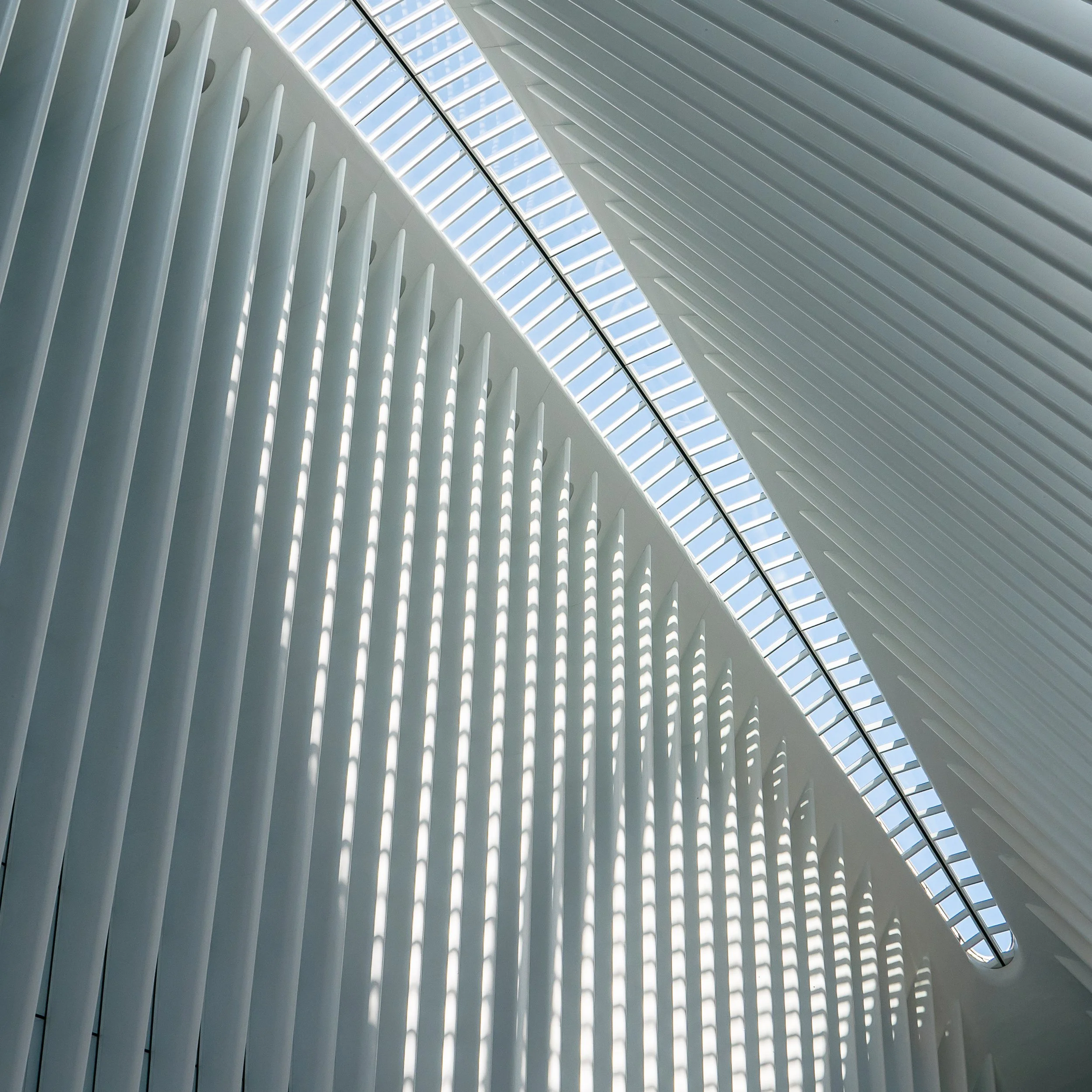 Occulus New York.jpg