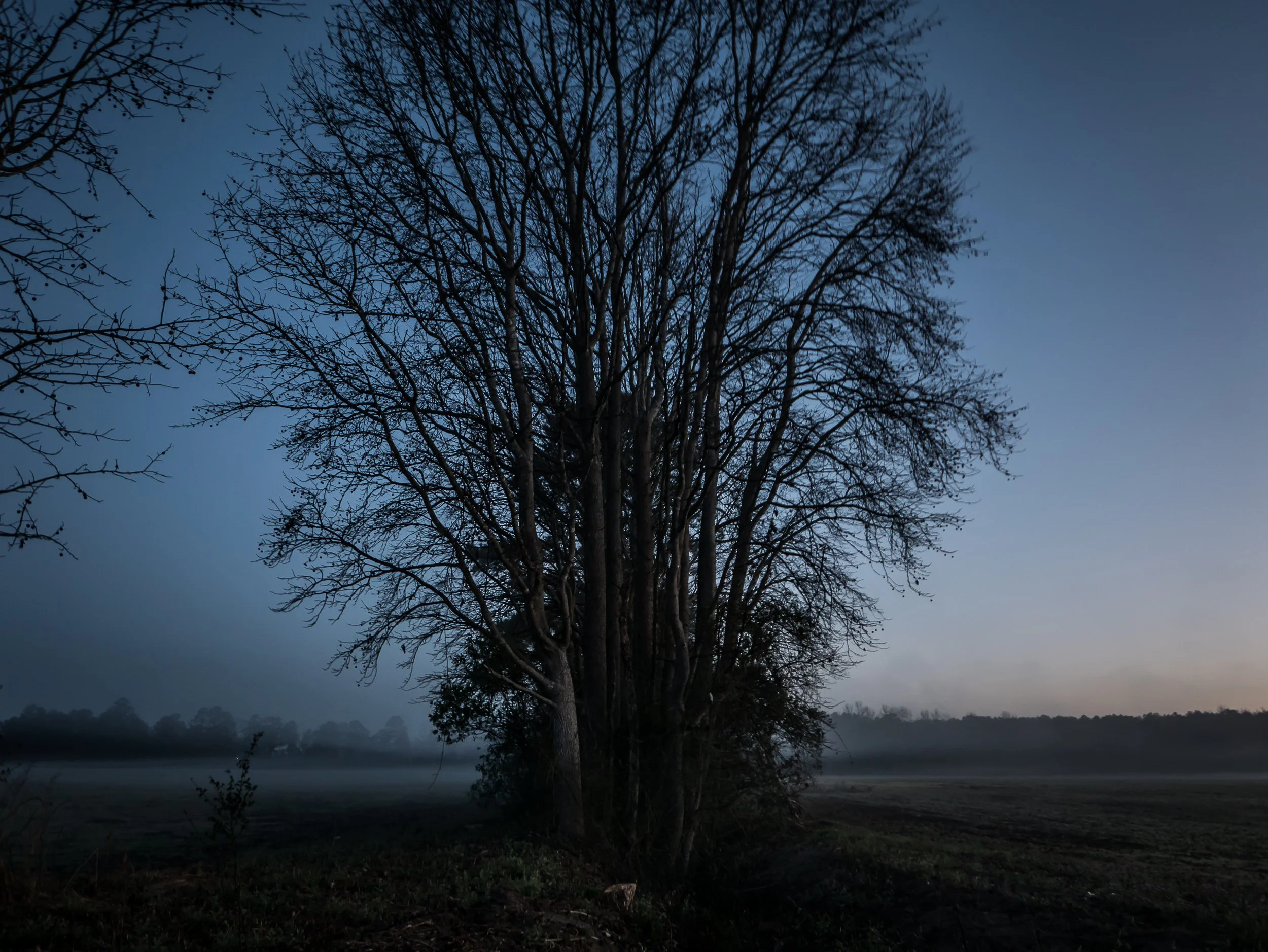 Mysterious Fields.jpg