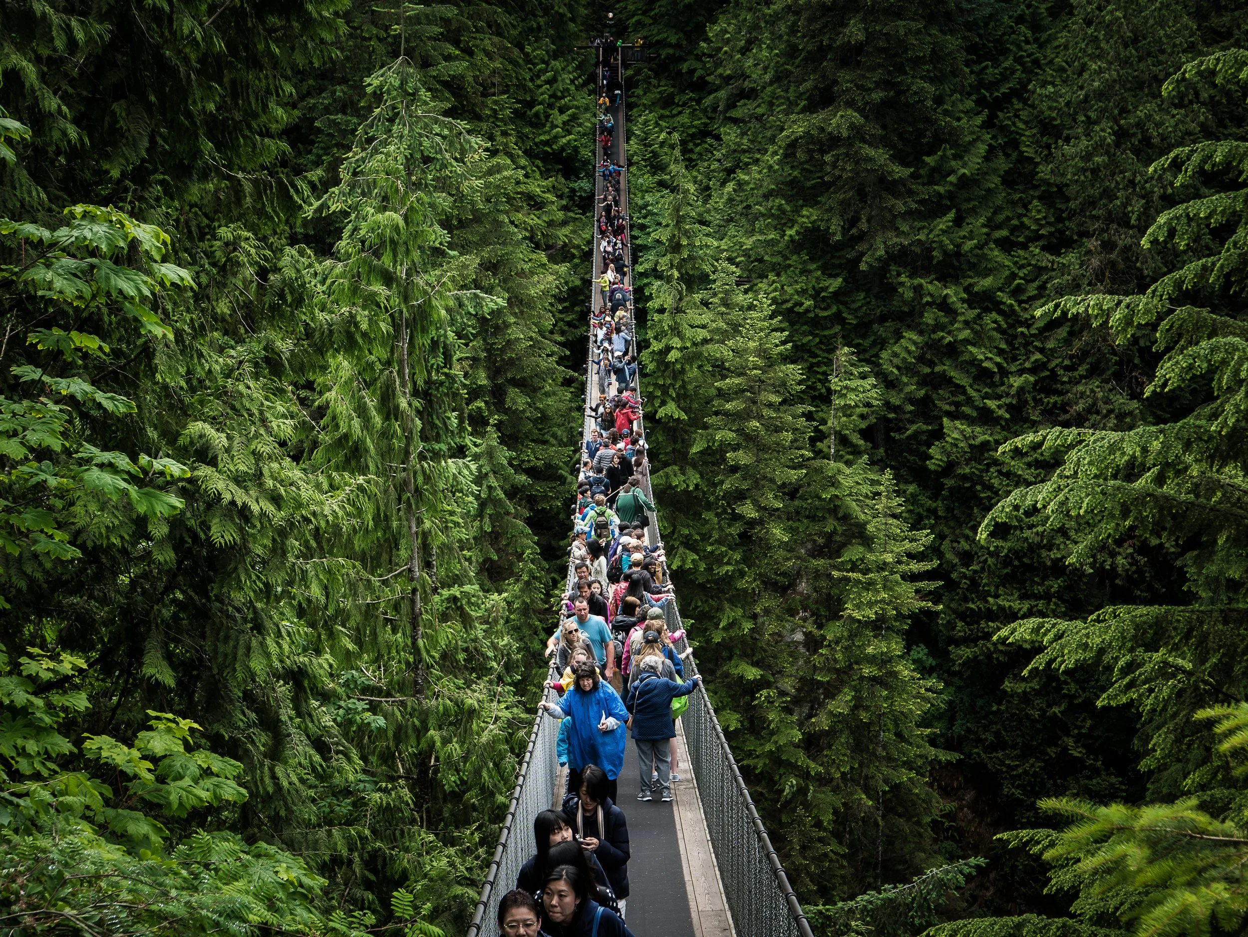 Capilano Suspension Bridge_.jpg