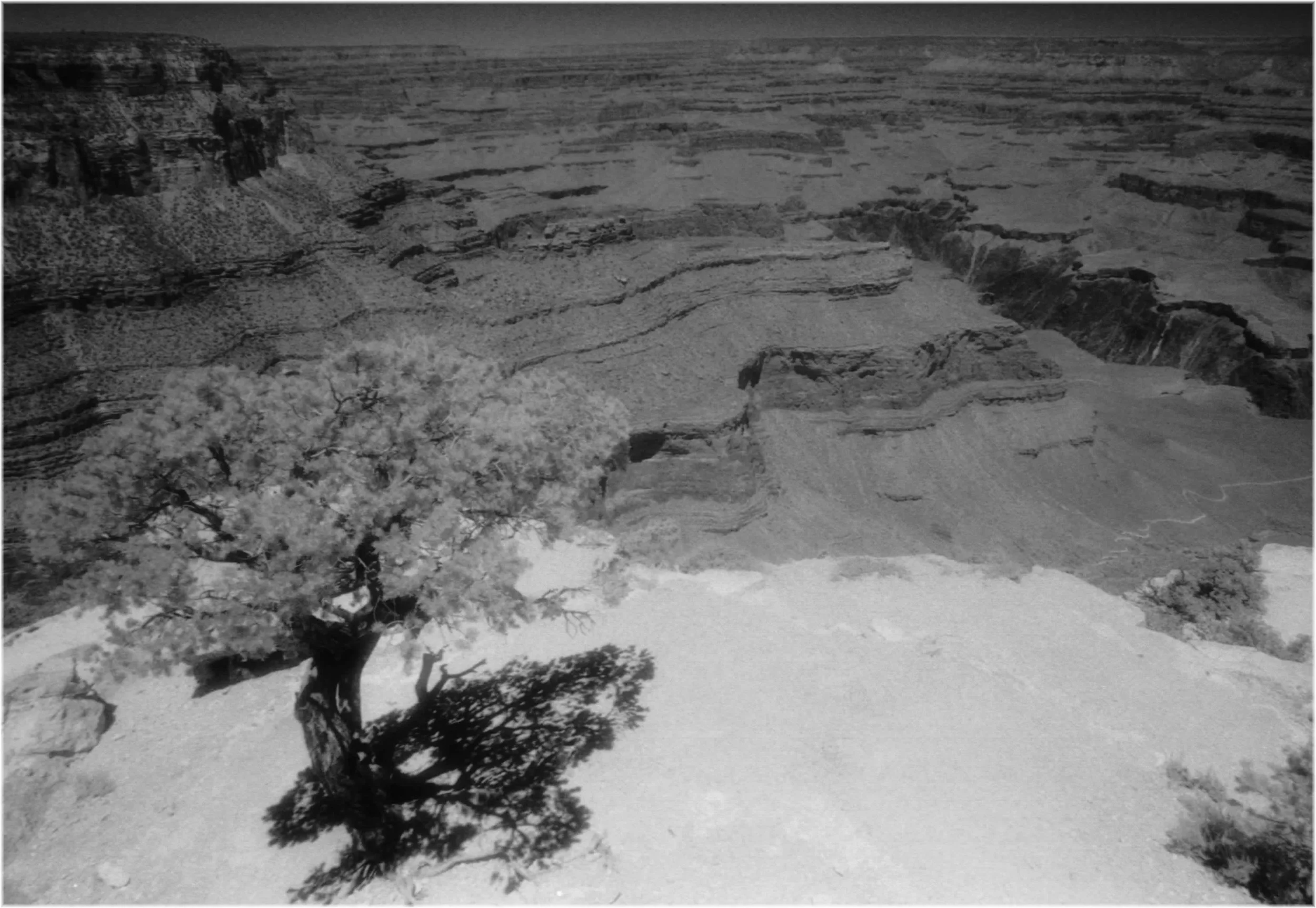 GrandCanyon5.jpg