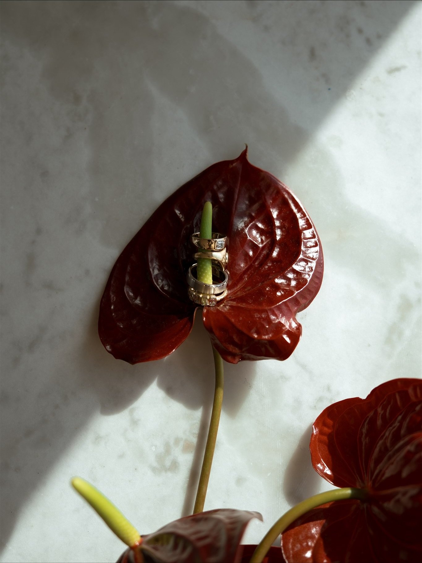 Details.

Photographer @renue.studio
Bride @louspichtig___
Florist @avalonflorals
Dress @shonajoy
Suit @pjohnsontailors
Hair &amp; Make Up @mercedesedmondsmua
Cake @yumbakery.au
Pizza @francjrns
Jewellery @xronosfinejewellry
Content Creation @ontheda