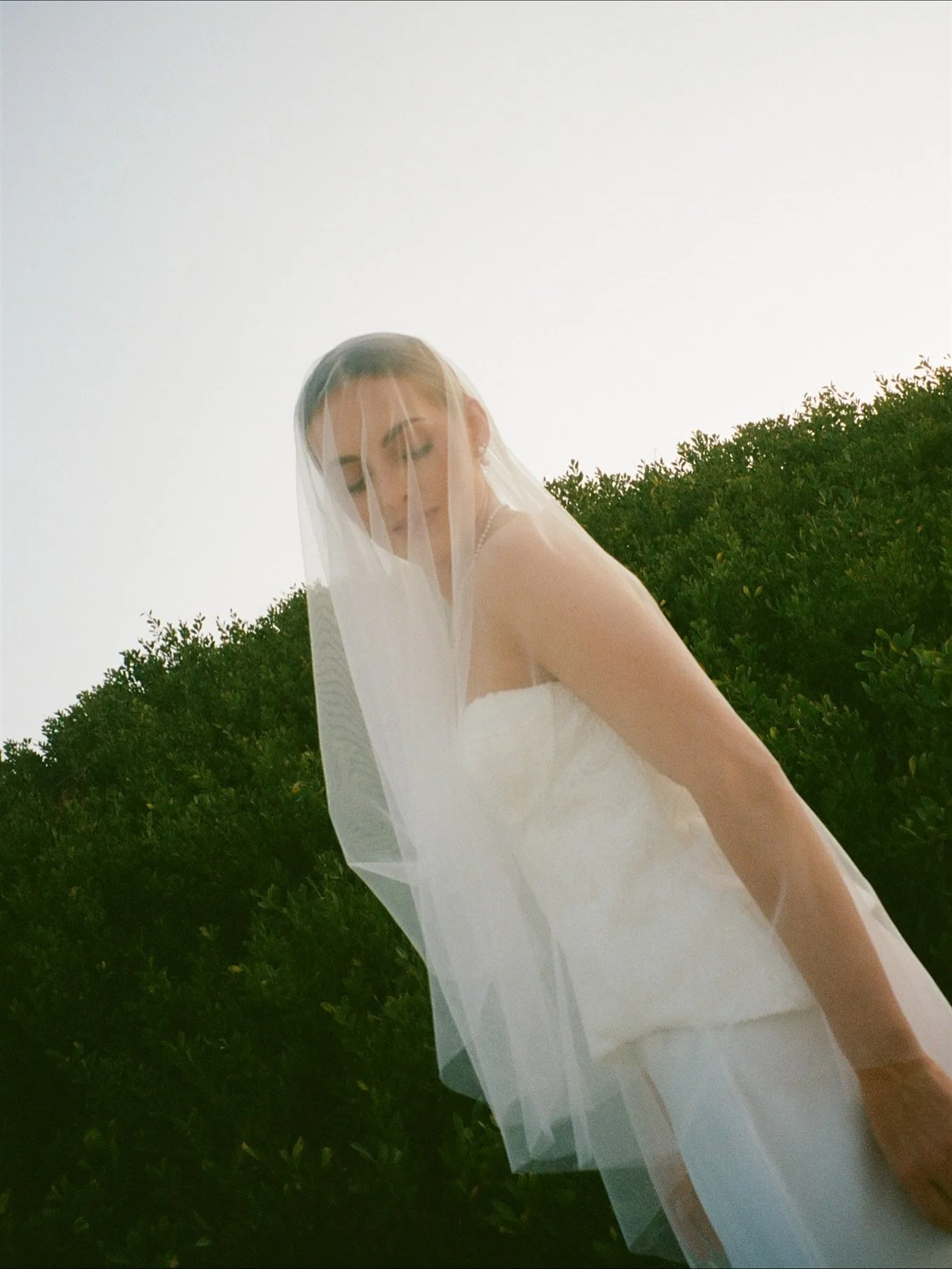 Lou looking like an absolute goddess on 35mm film 🎞️

Photographer @renue.studio
Bride @louspichtig___
Florist @avalonflorals
Dress @shonajoy
Suit @pjohnsontailors
Hair &amp; Make Up @mercedesedmondsmua
Cake @yumbakery.au
Pizza @francjrns
Jewellery 