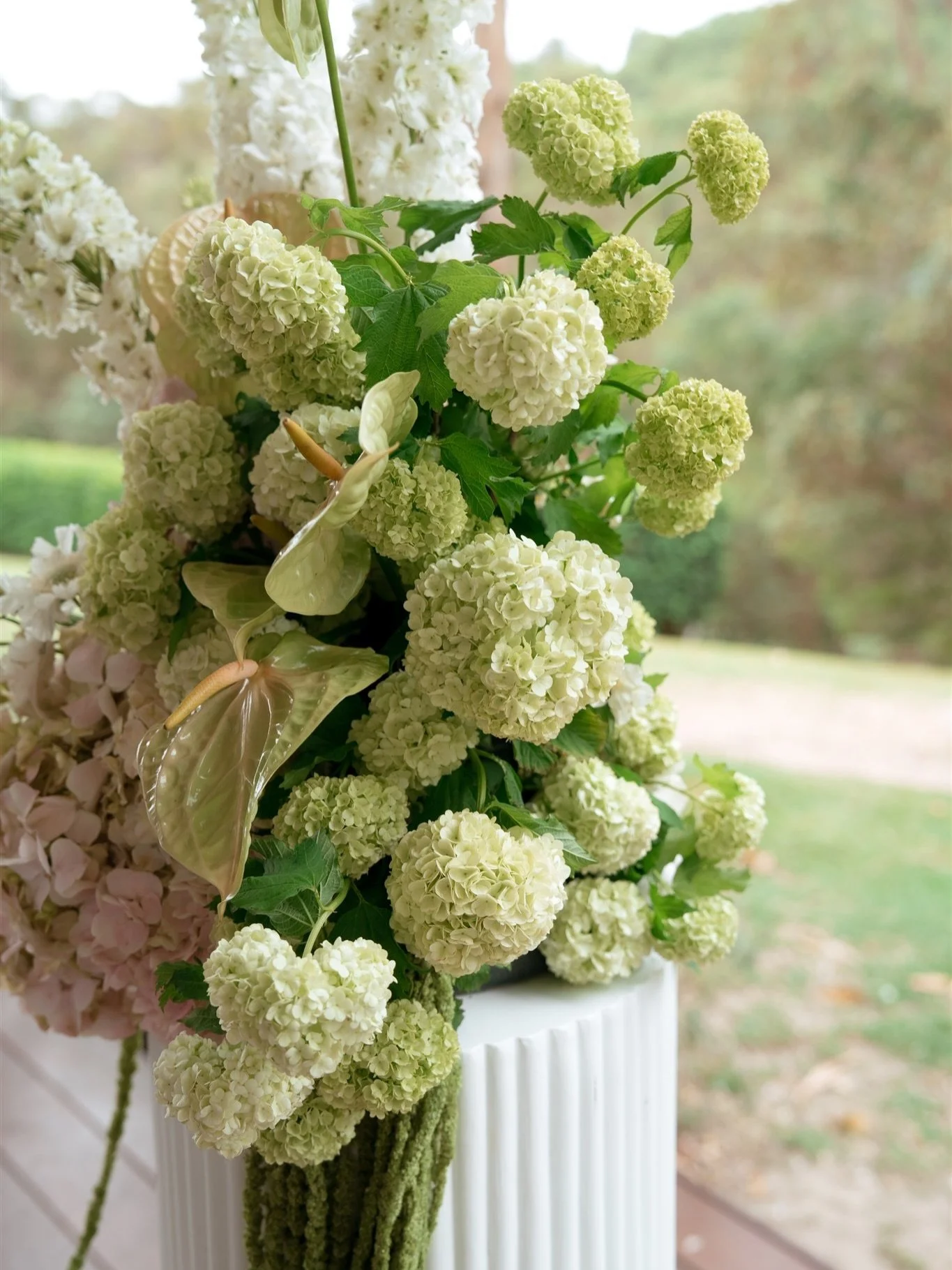 Pretty things&hellip;

Shot for the lovely @alixduboisphotography