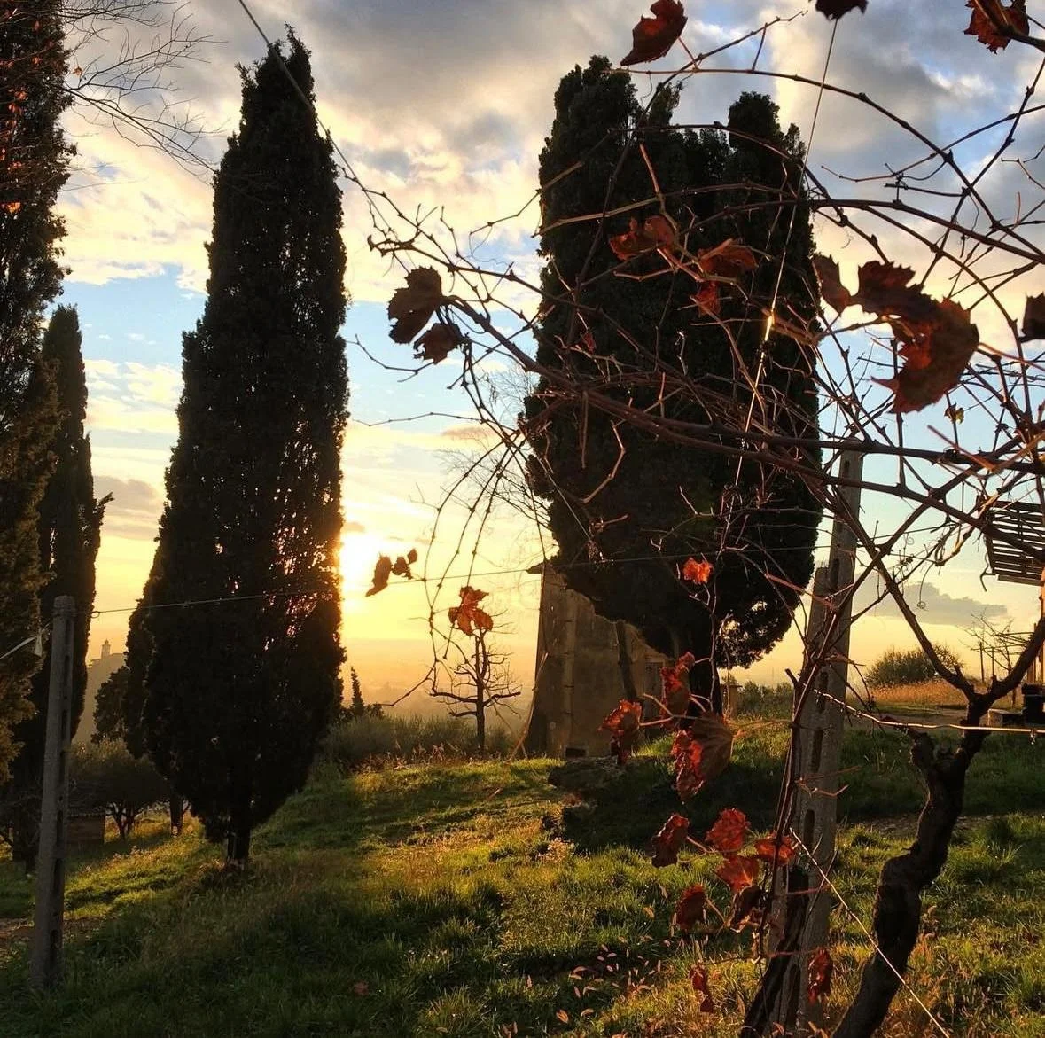 WhatsApp Image 2025-07-21 at 11.46.18 AM.jpeg