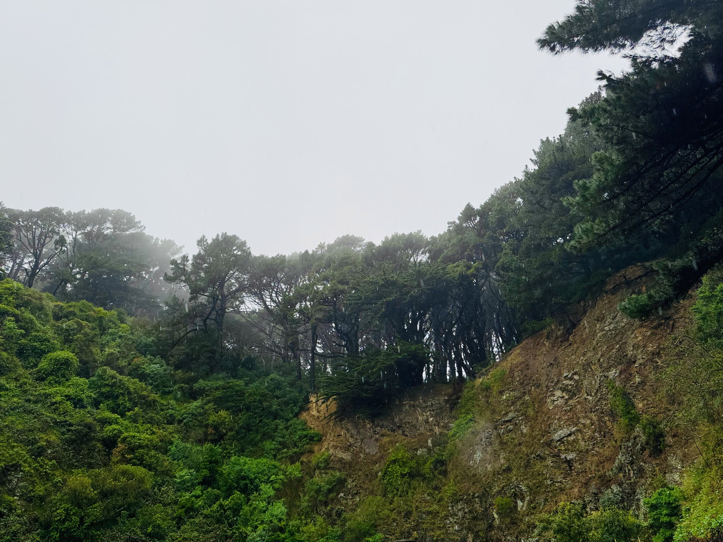 IMG_1439.jpeg