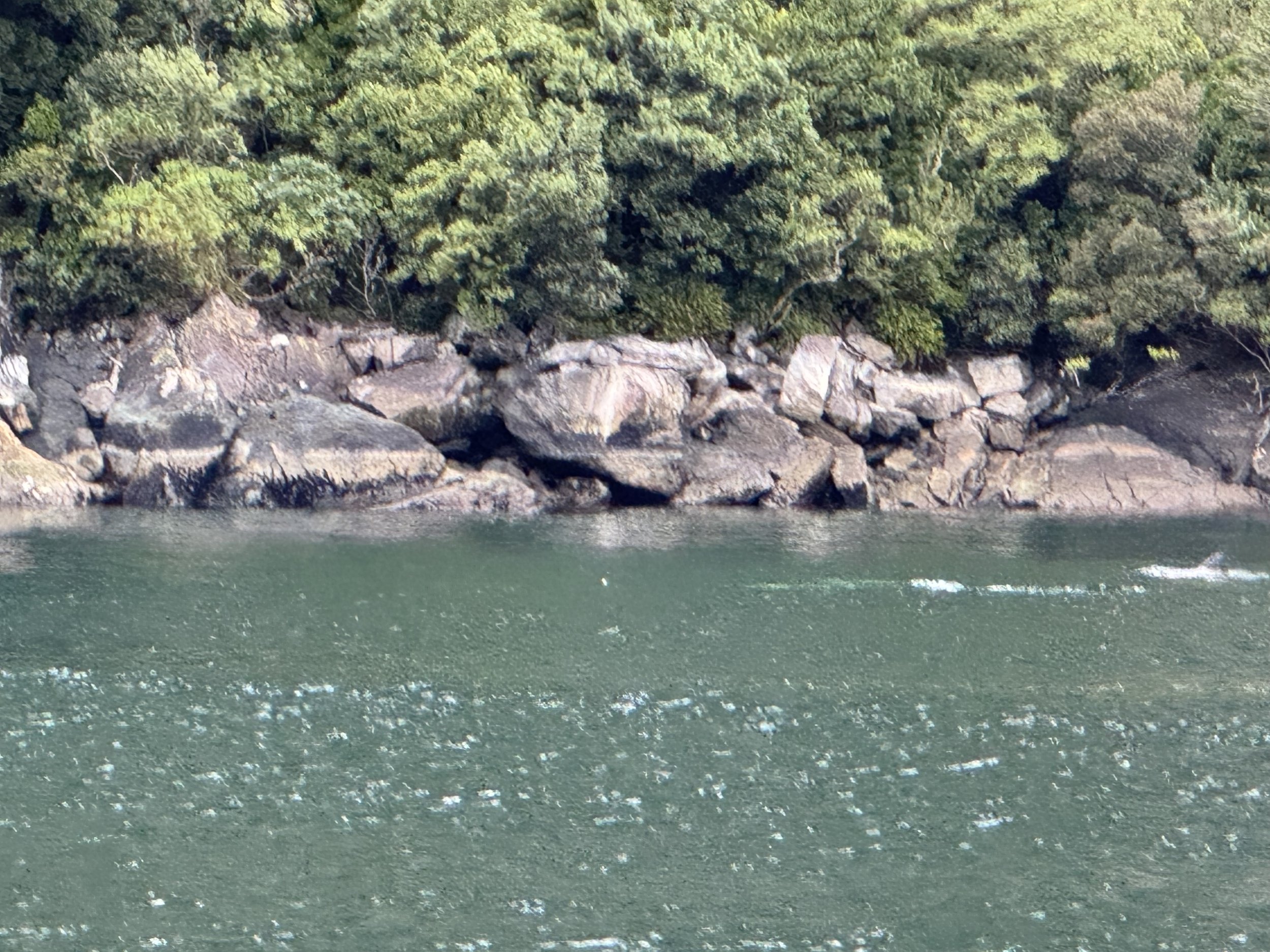 IMG_2314.jpeg