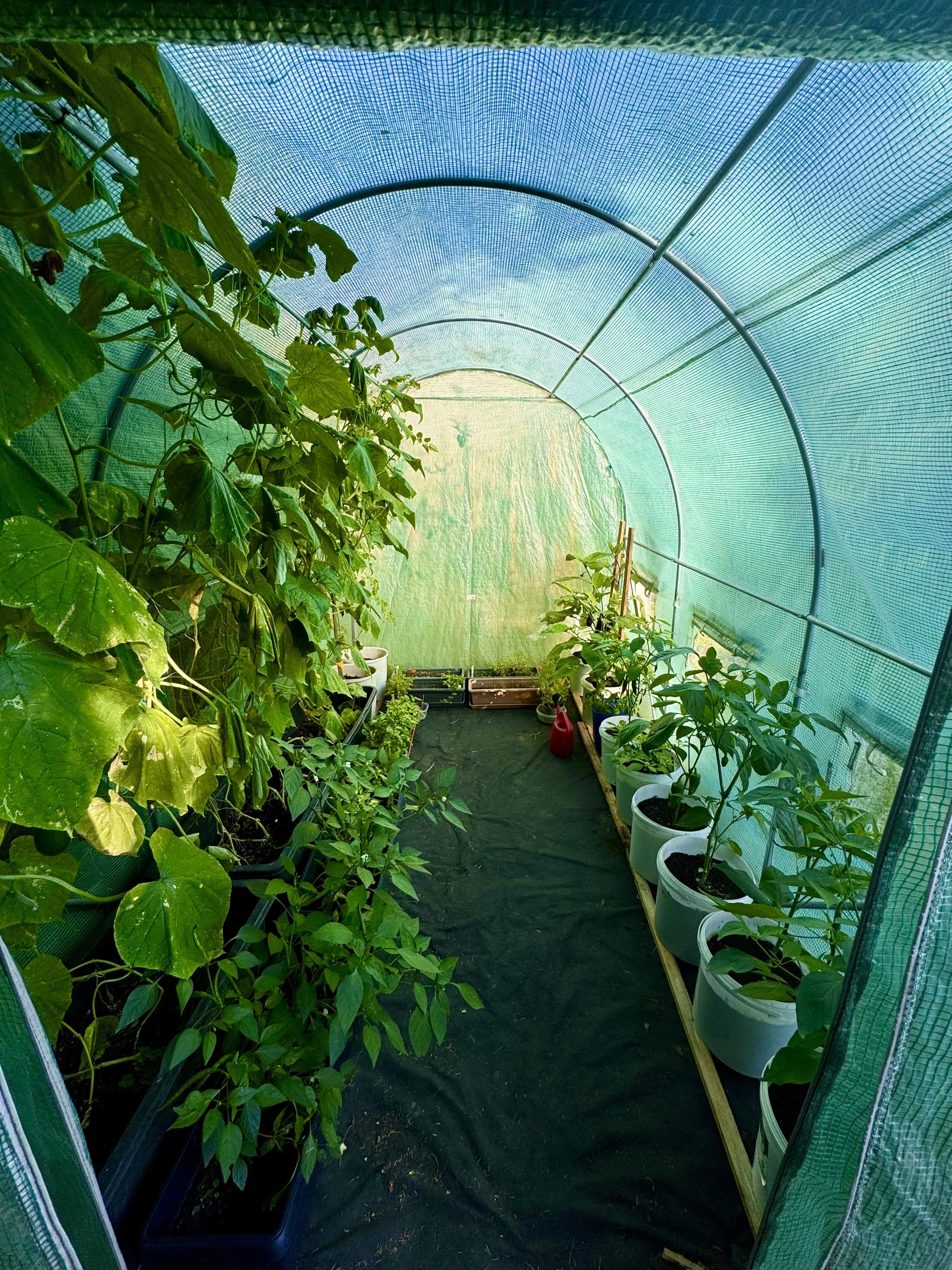 6. Česká Venkovská Zahrada (A Czech Cottage Garden)