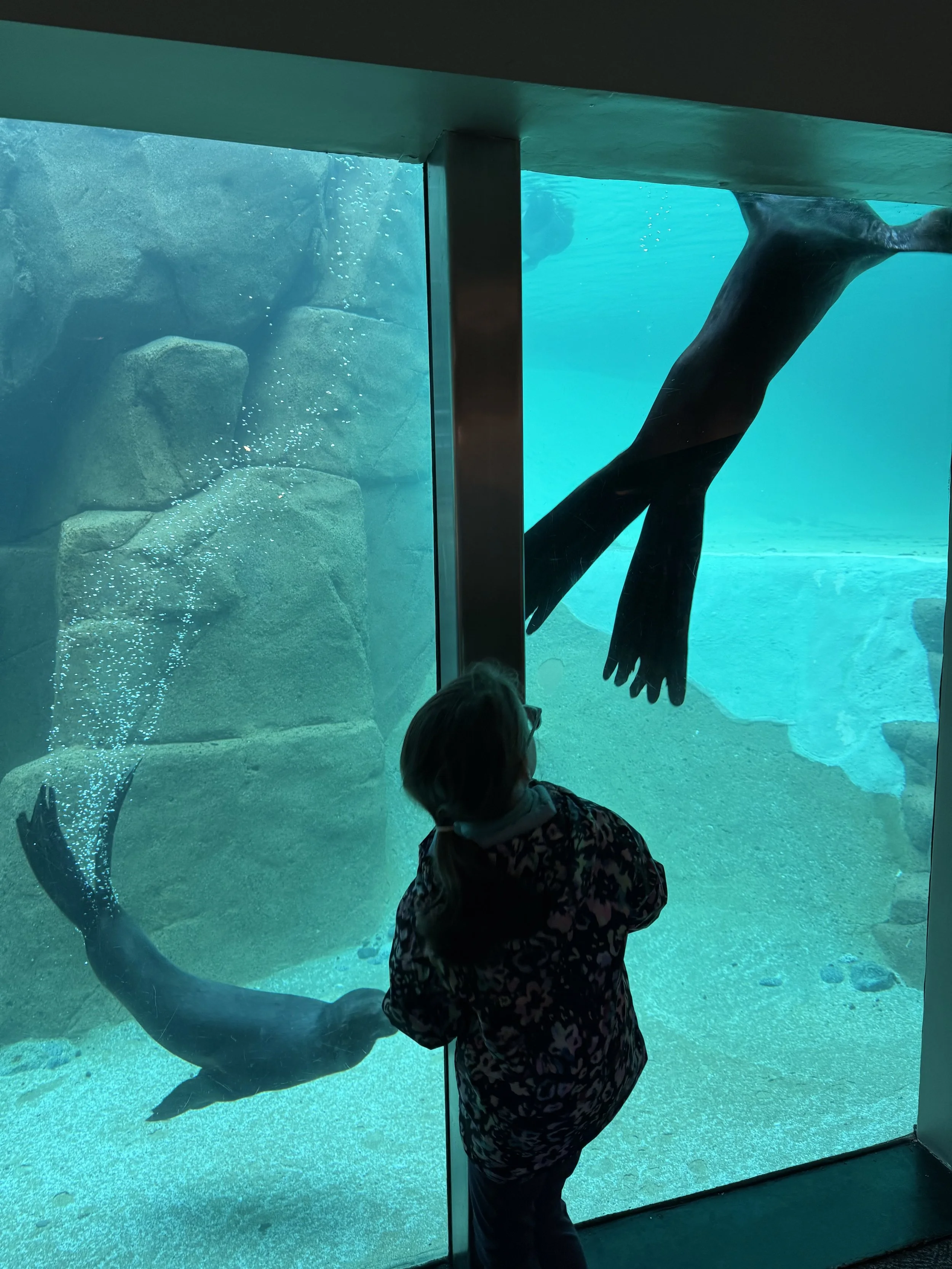 2. Ocean Days & Hovercraft Ways