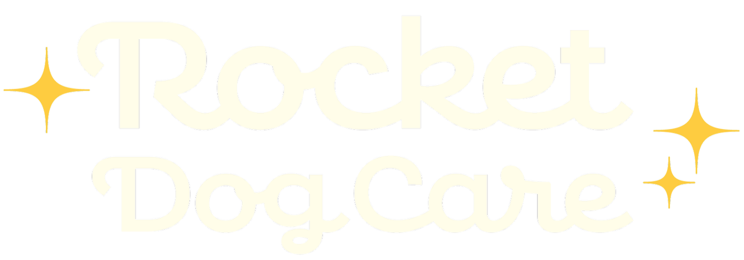 Rocket Dog Care | Daycare, Boarding, Dog Spa, and Grooming in Seattle, WA