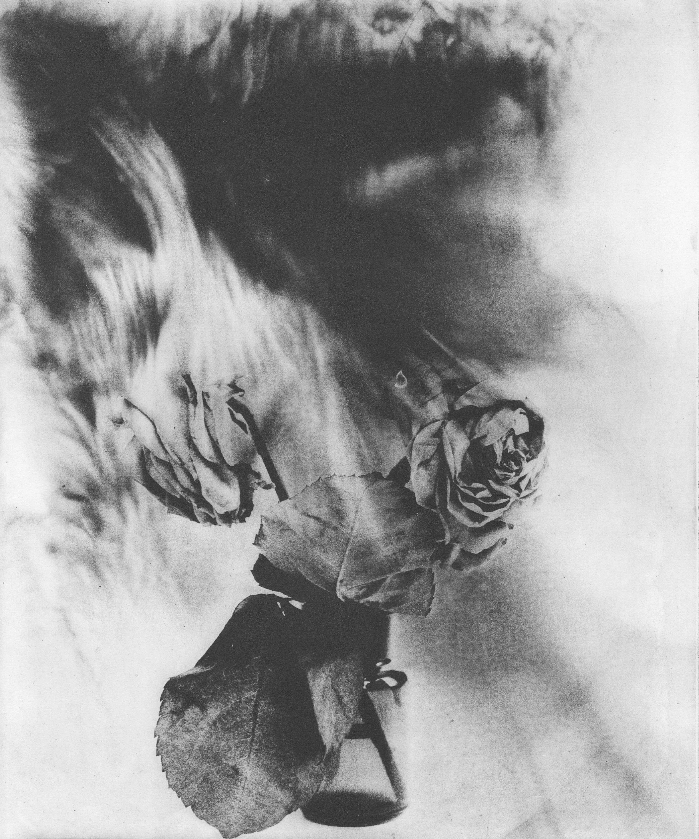 Open Doors Photo Prize group exhibition