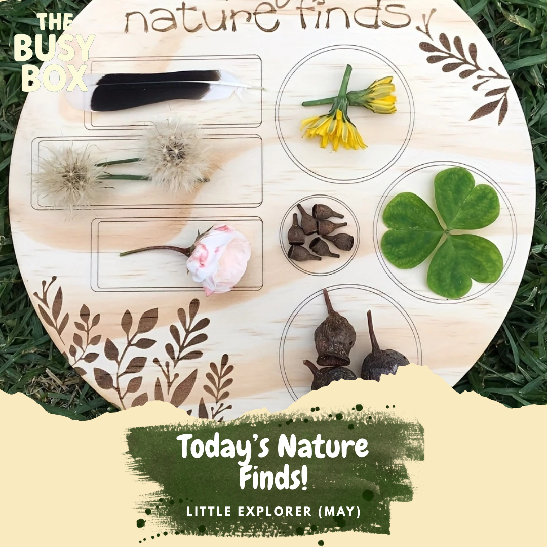 todays nature finds.png