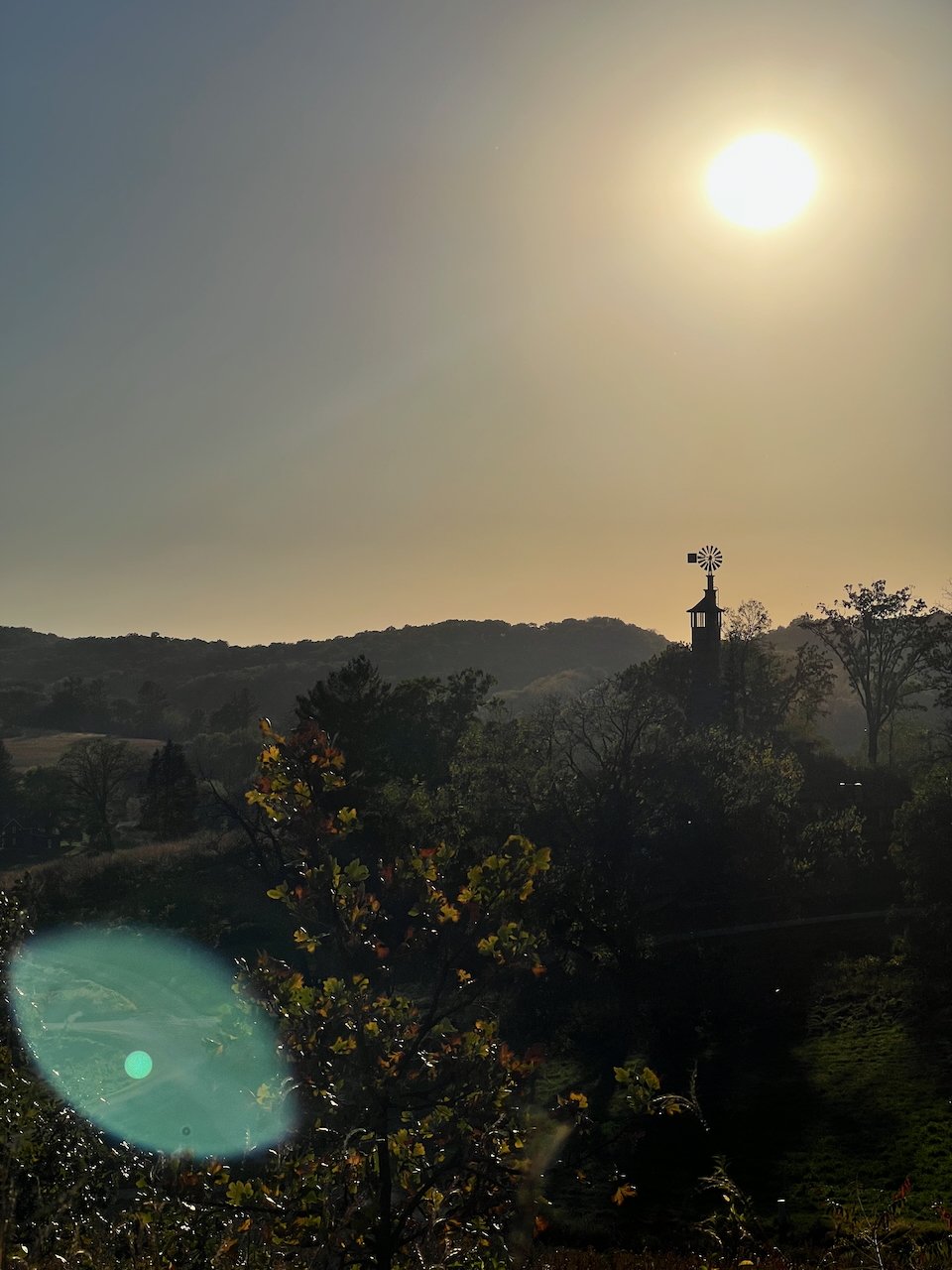 Taliesin: A Walk on Borrowed Time