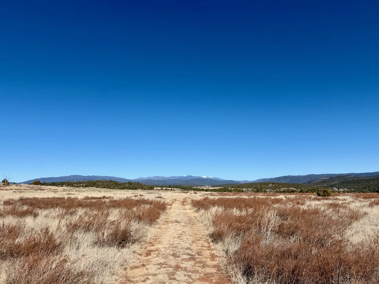 Soaking with Strangers