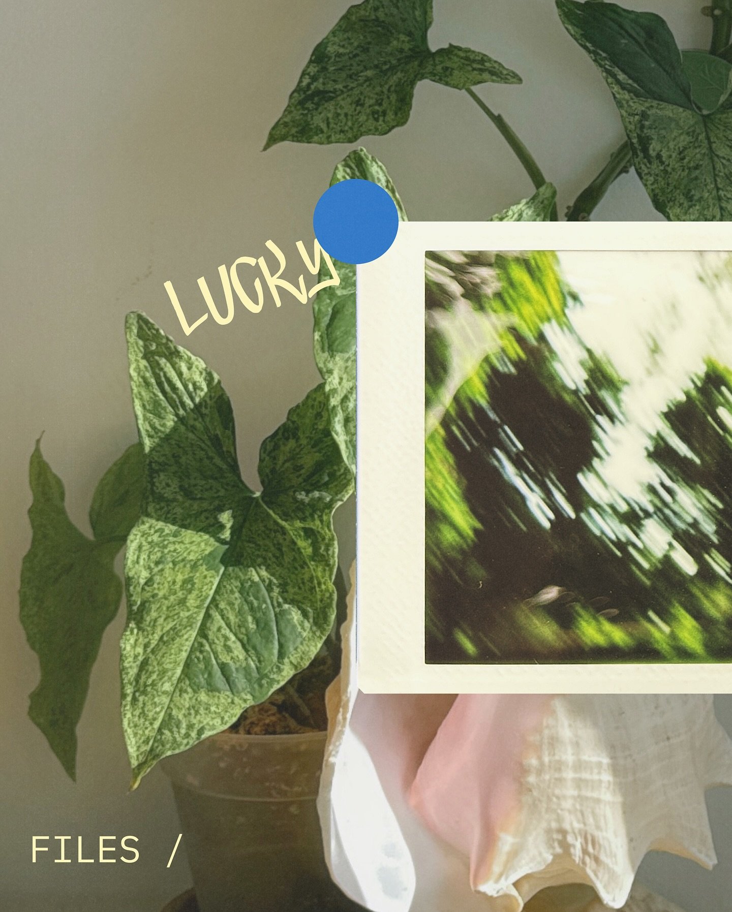 🌀 april.exe loading&hellip; 

I often dissapear into what i&rsquo;m creating - every breath fueling the need to see it done, every thought bent and folded like a cocoon around what&rsquo;s becoming. Every so often though, i hit a plateau. Like the l